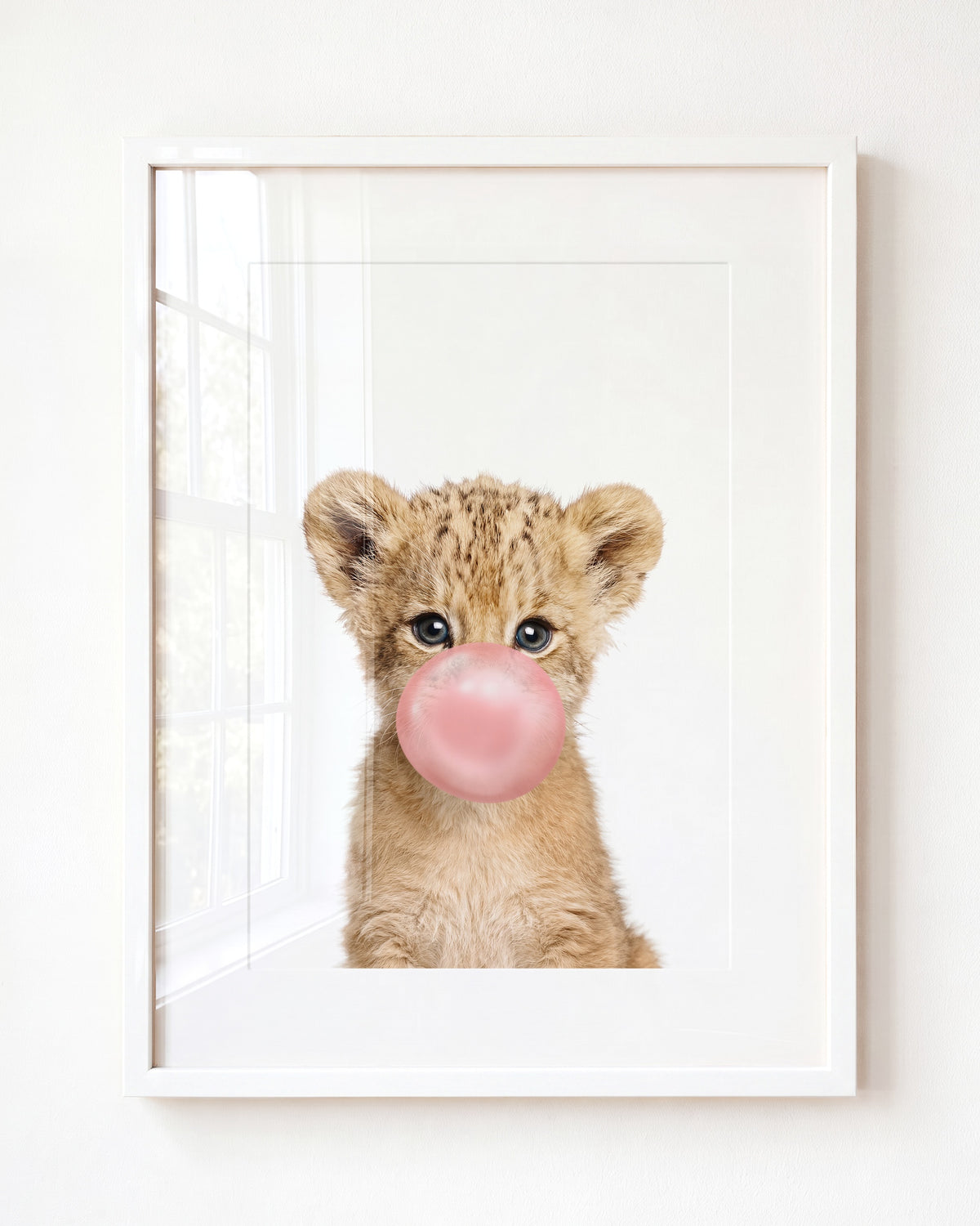 Baby Lion