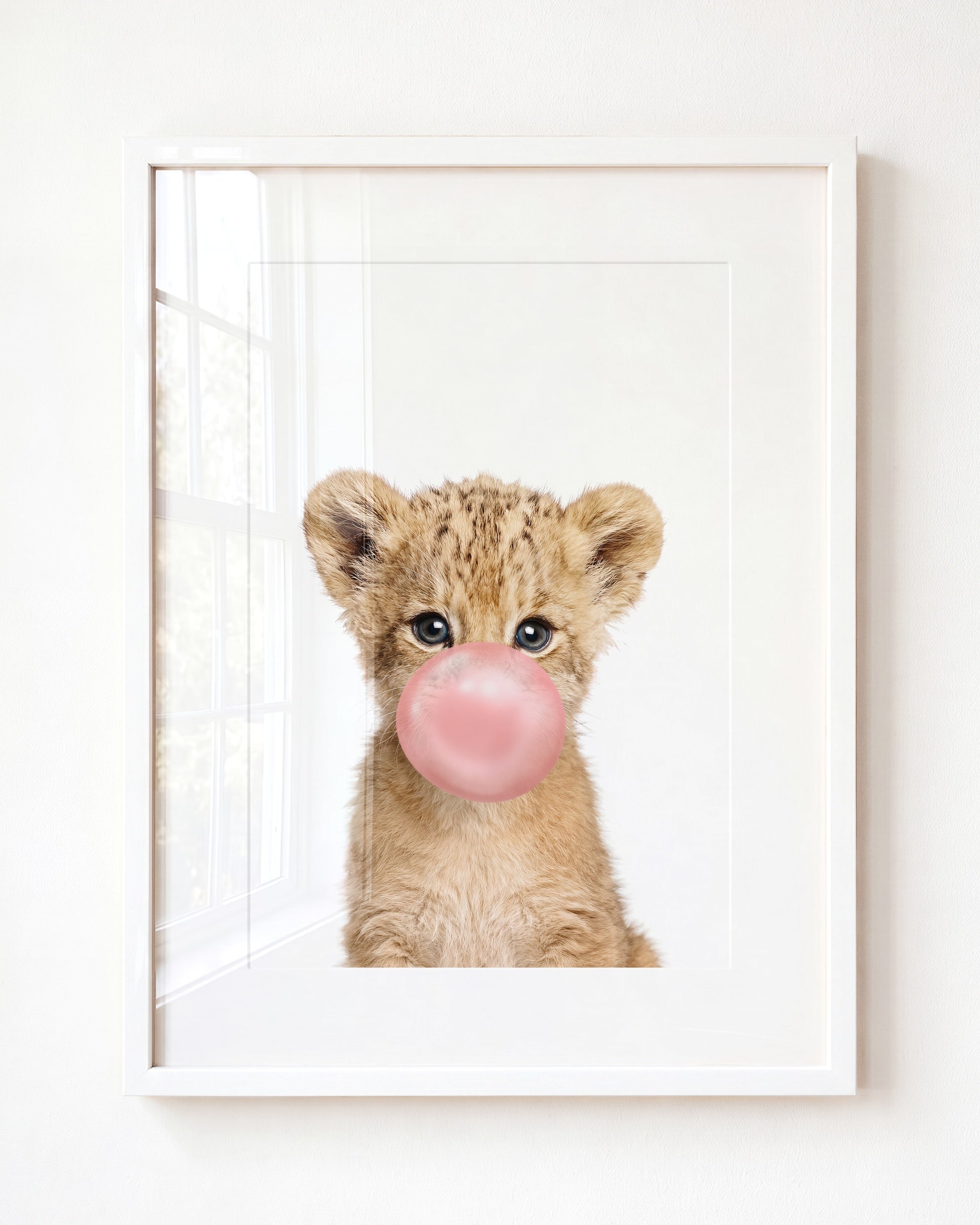 Baby Lion