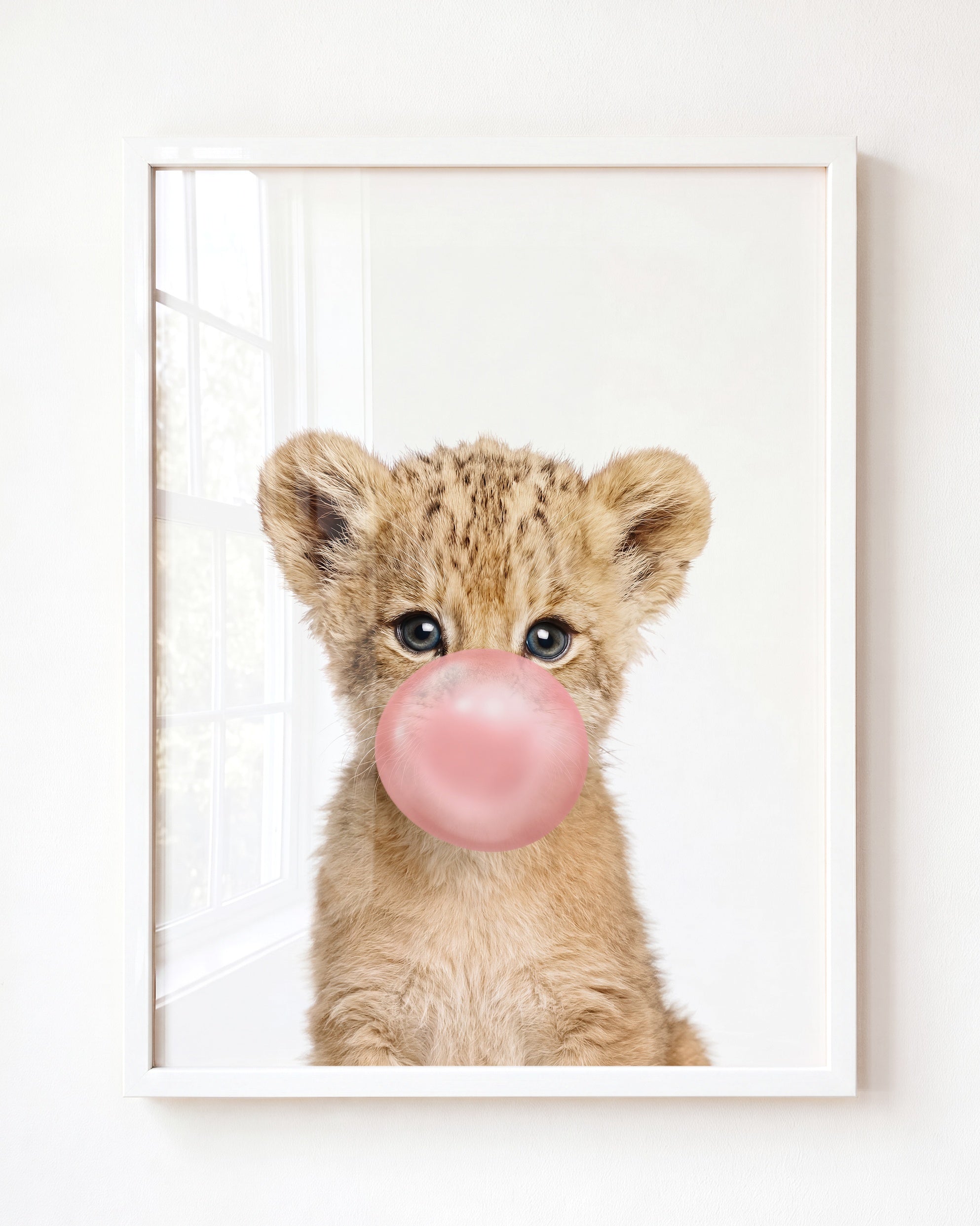 Baby Lion