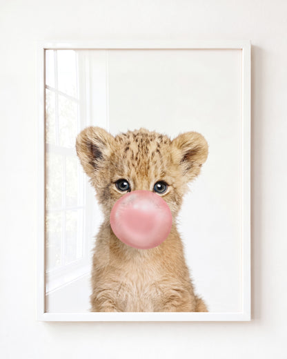 Baby Lion