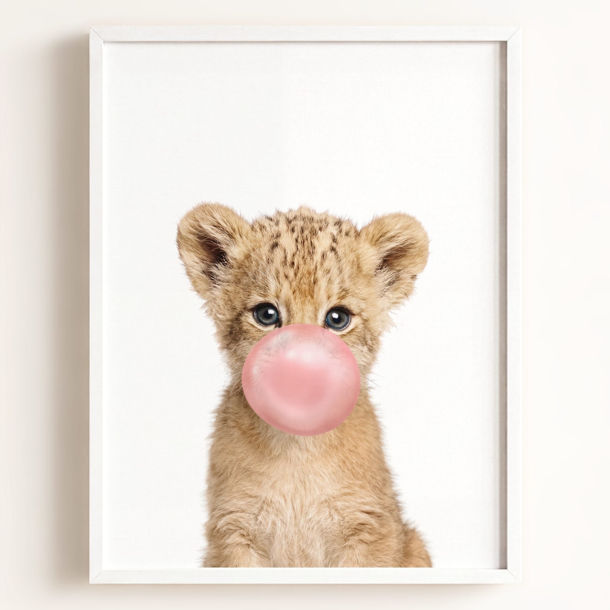 Baby Lion