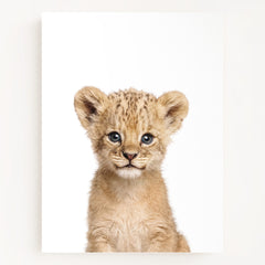 Baby Lion