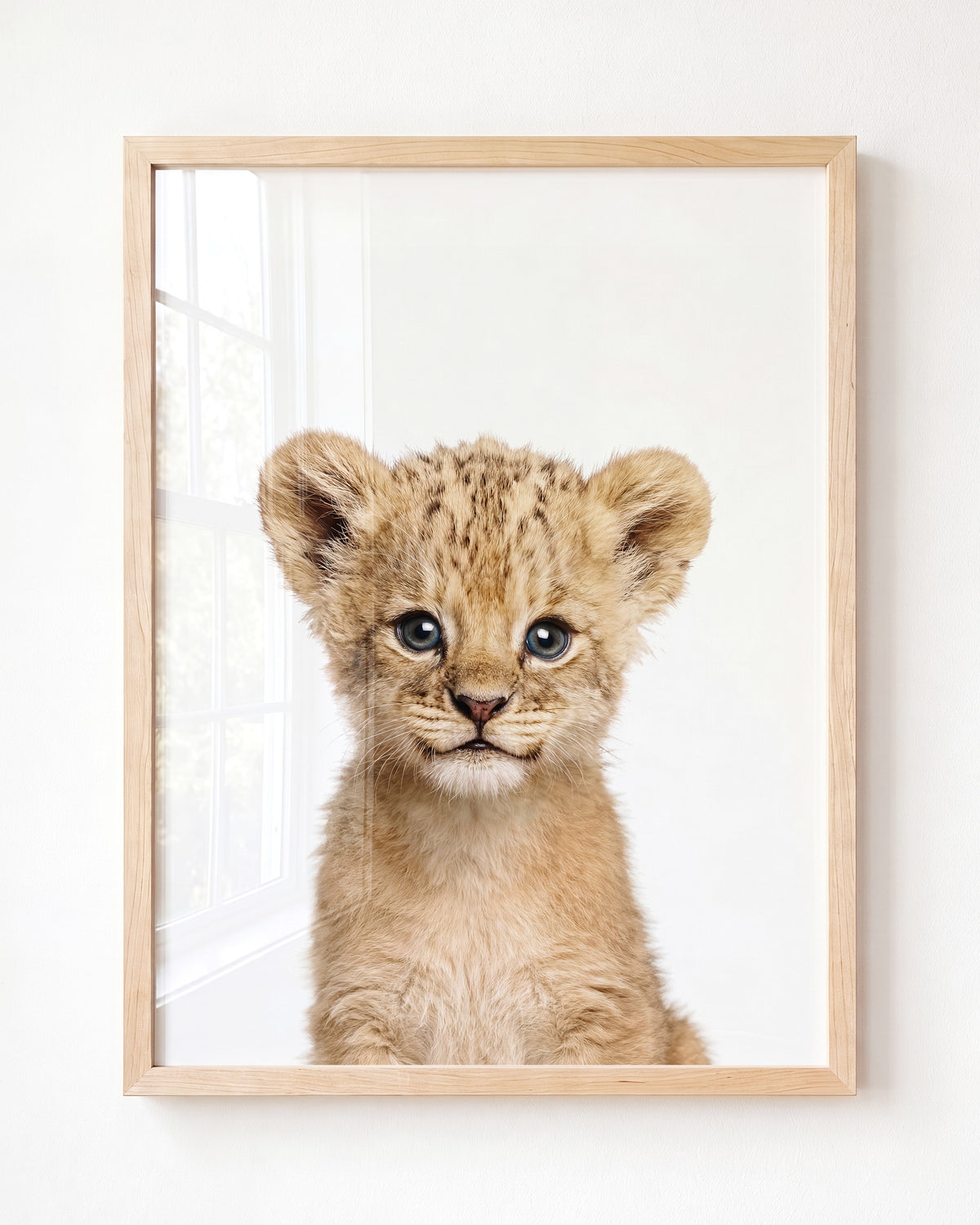 Baby Lion — Framed Art