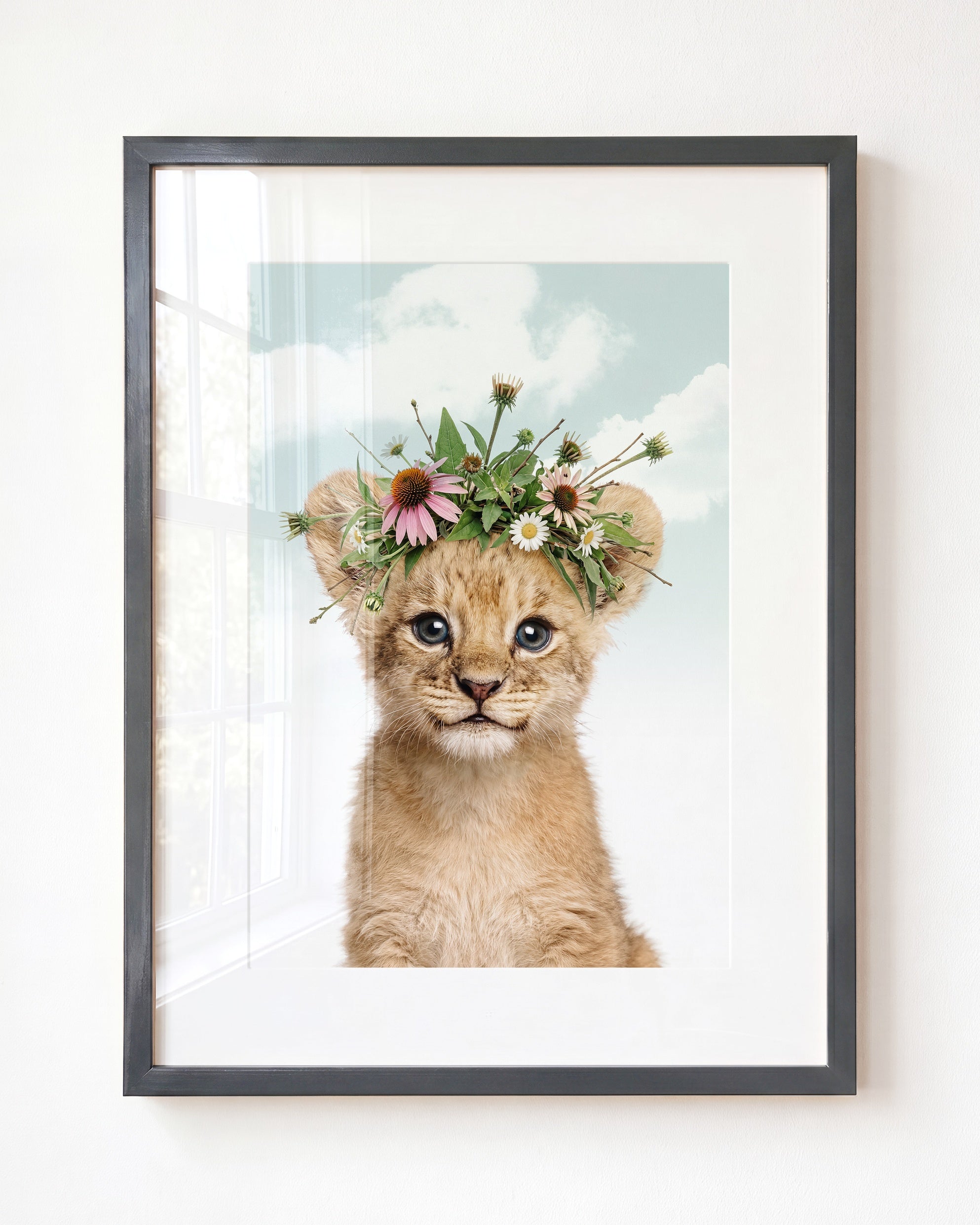 Baby Lion