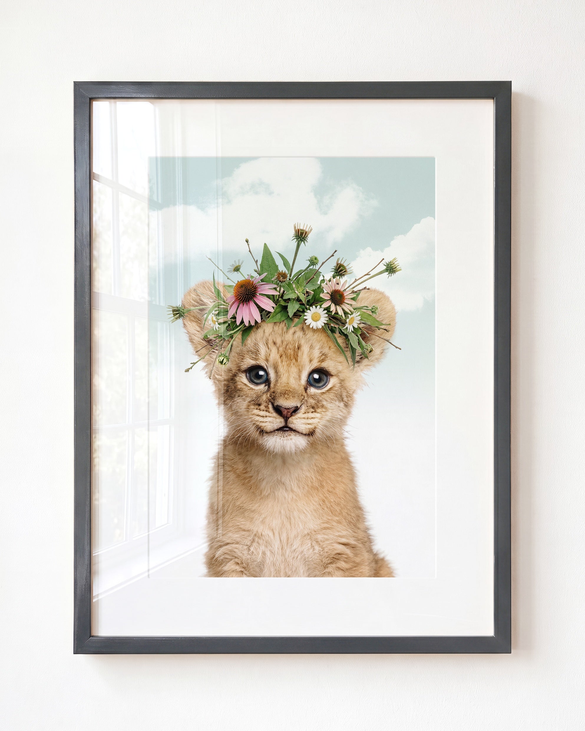 Baby Lion