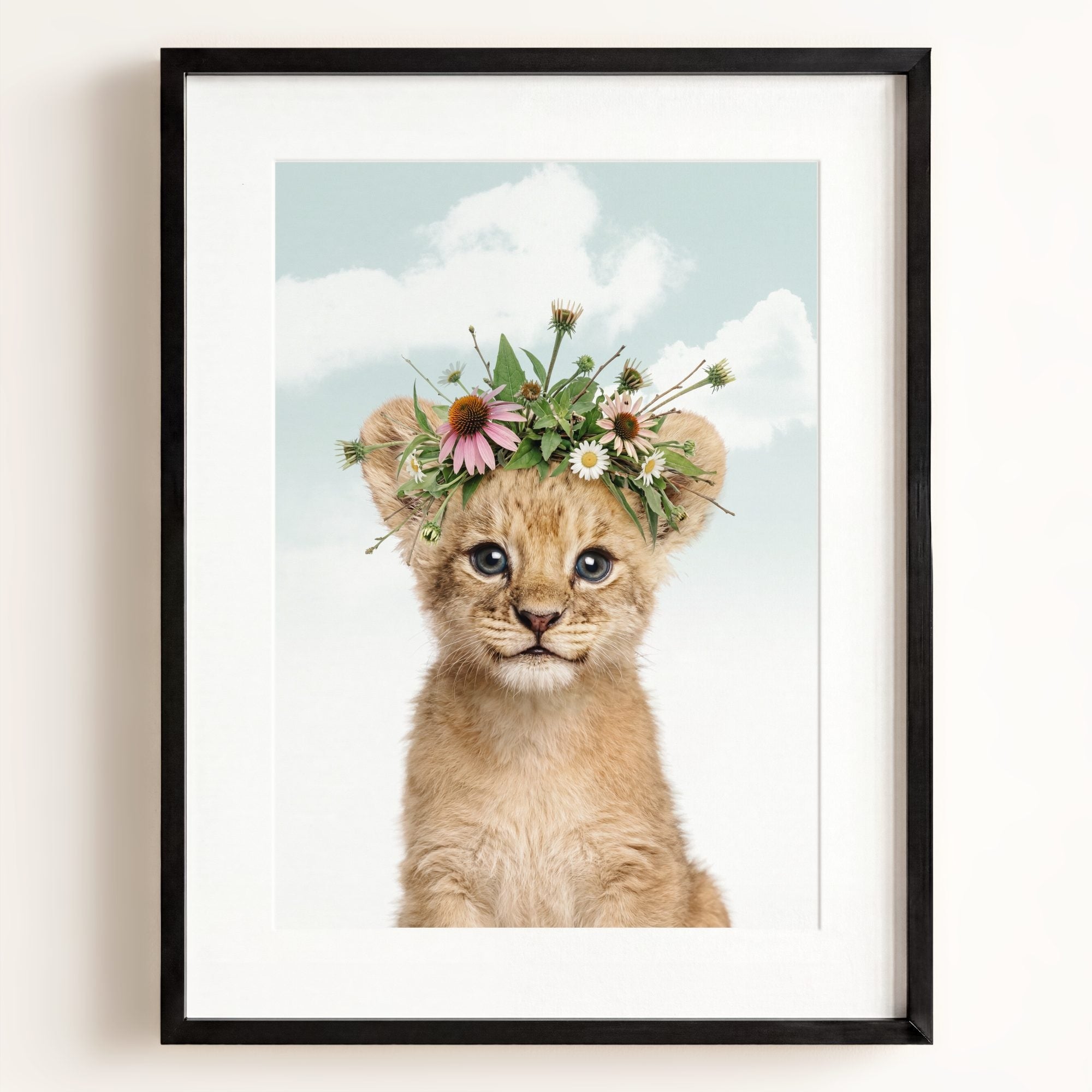 Baby Lion
