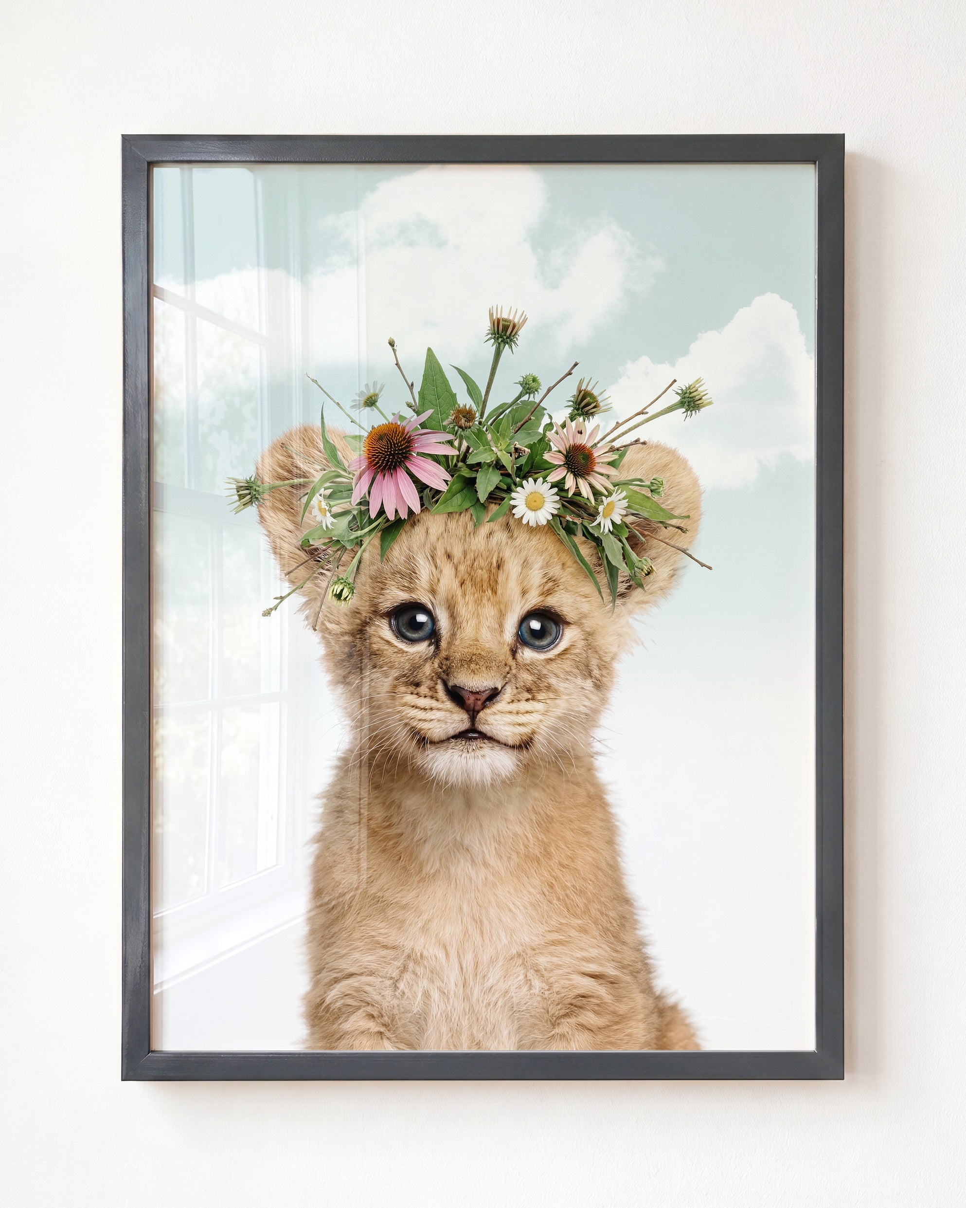 Baby Lion