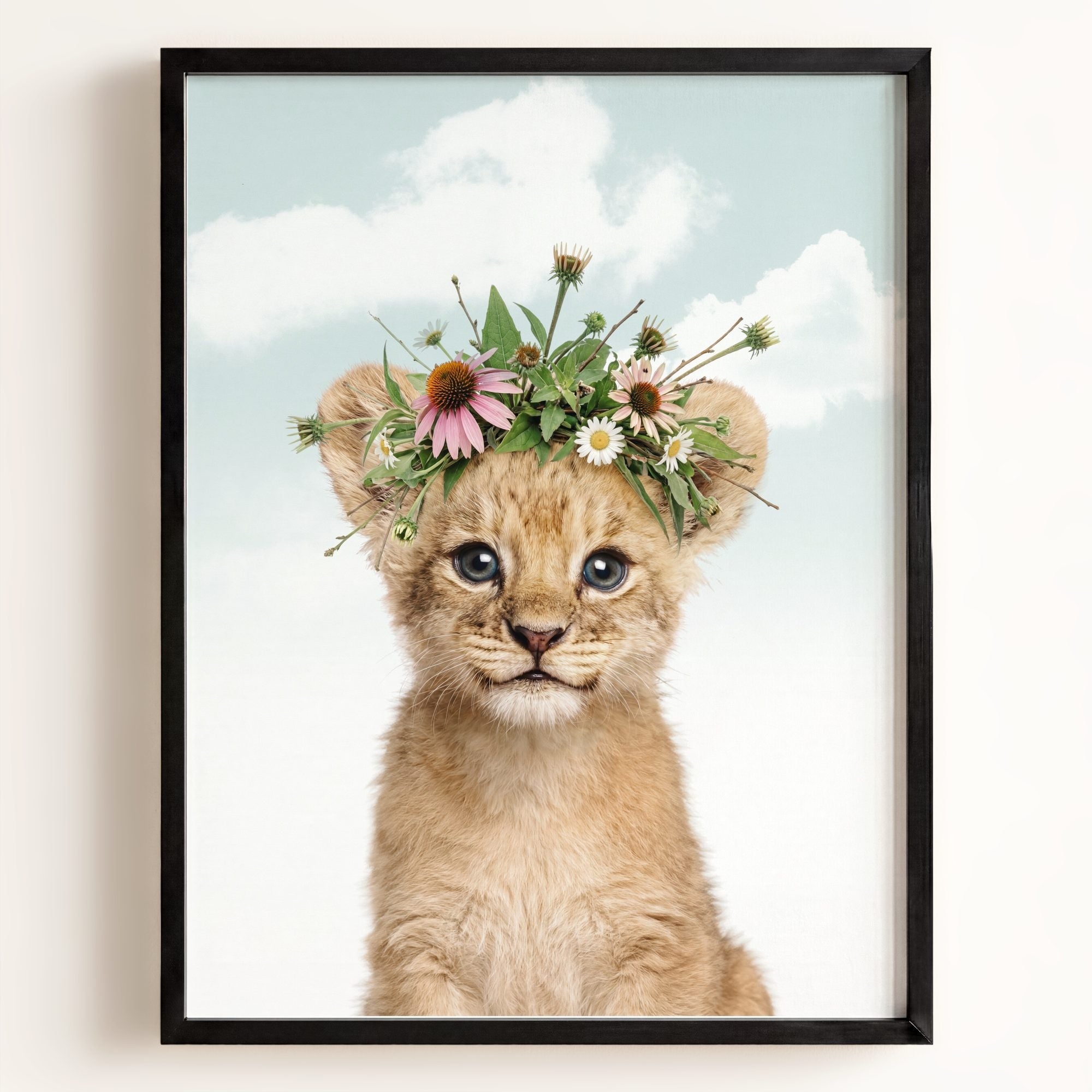 Baby Lion
