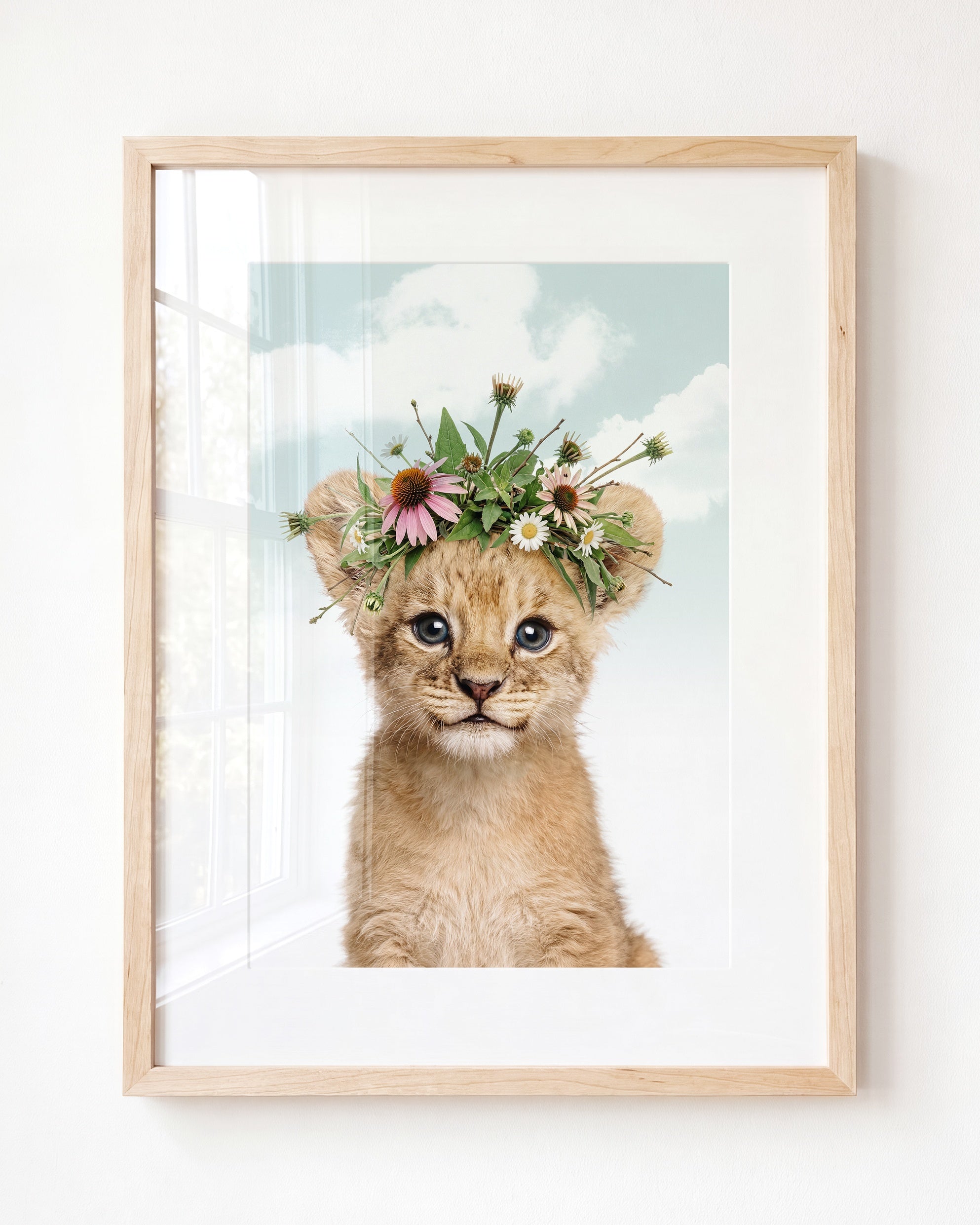 Baby Lion
