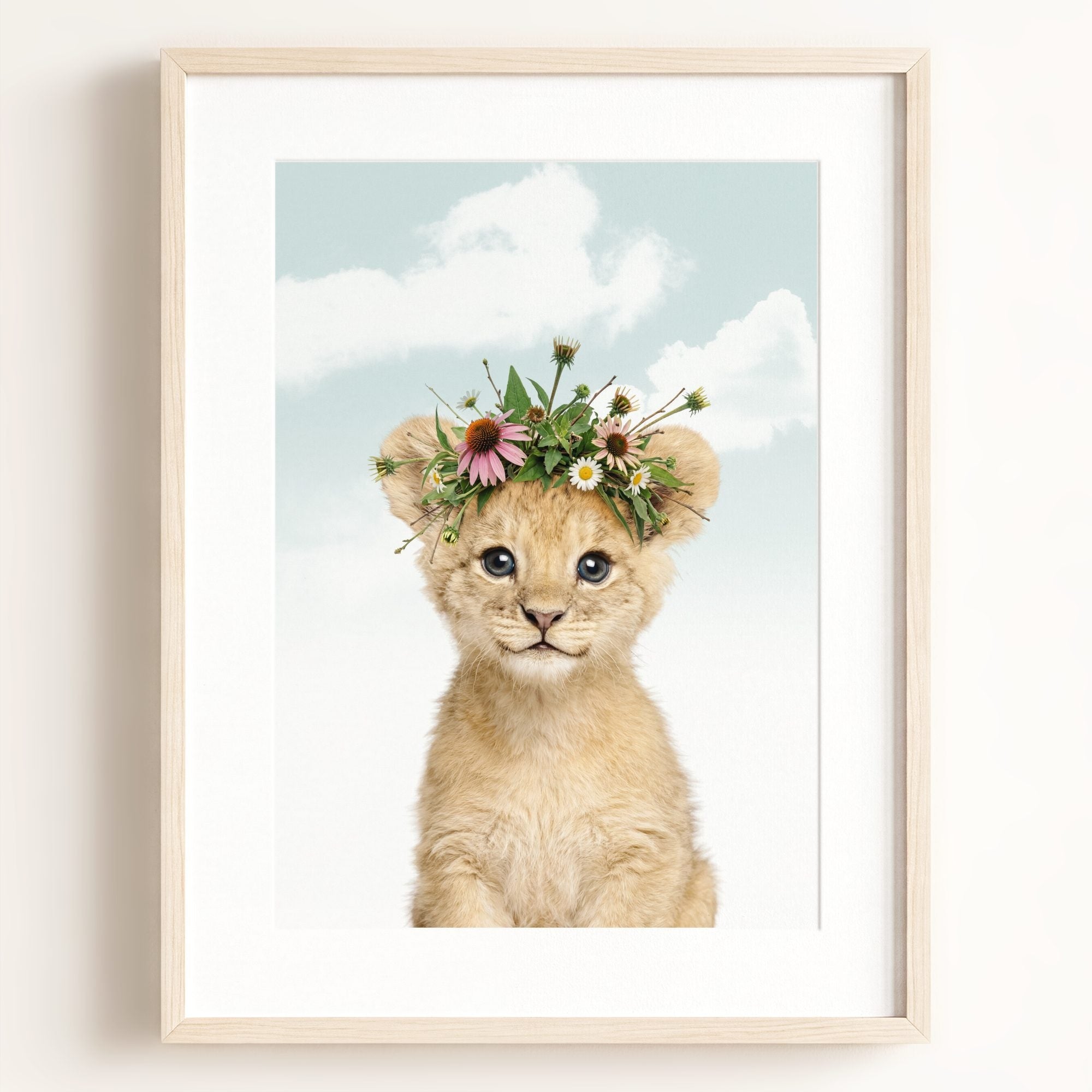 Baby Lion