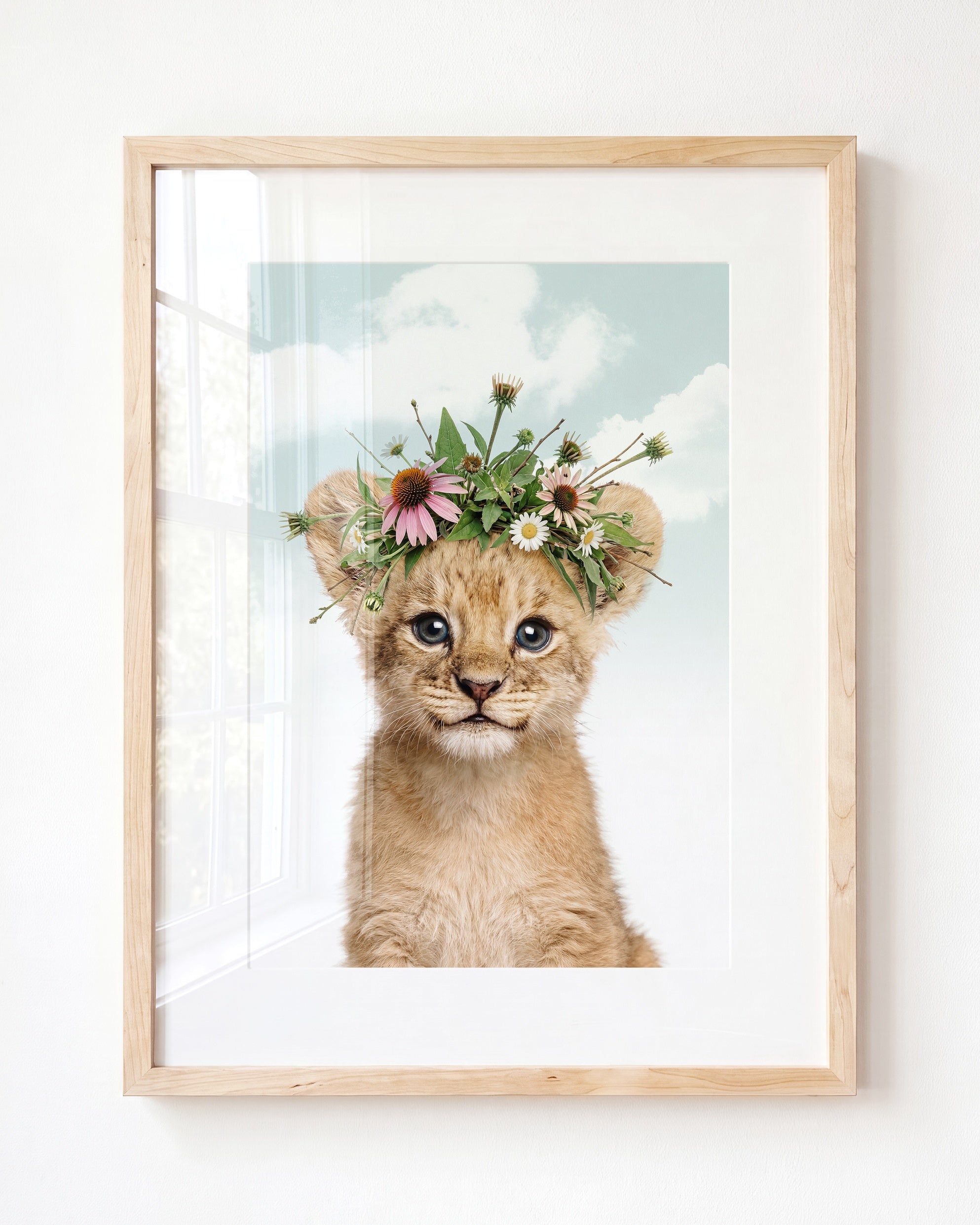 Baby Lion