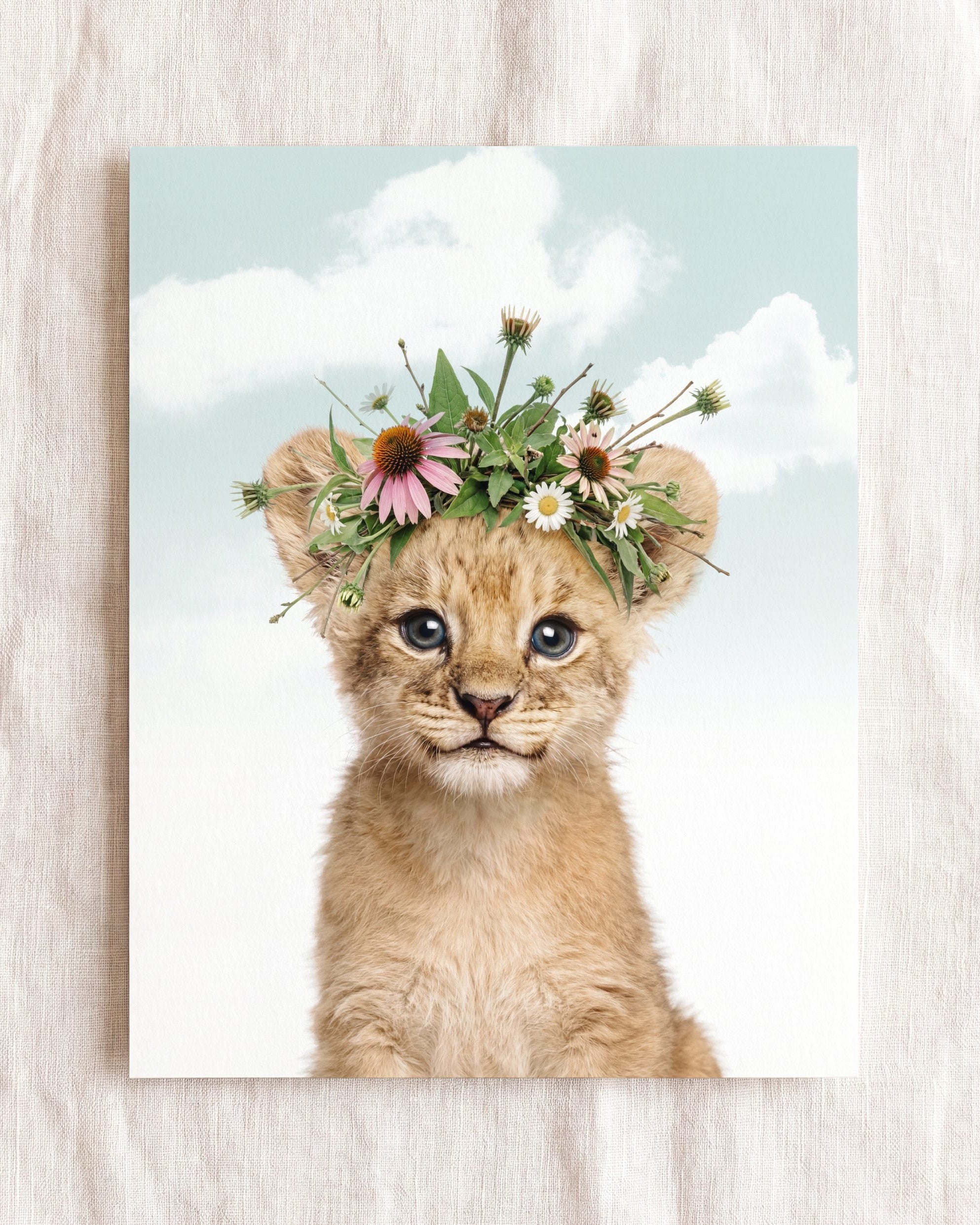 Baby Lion