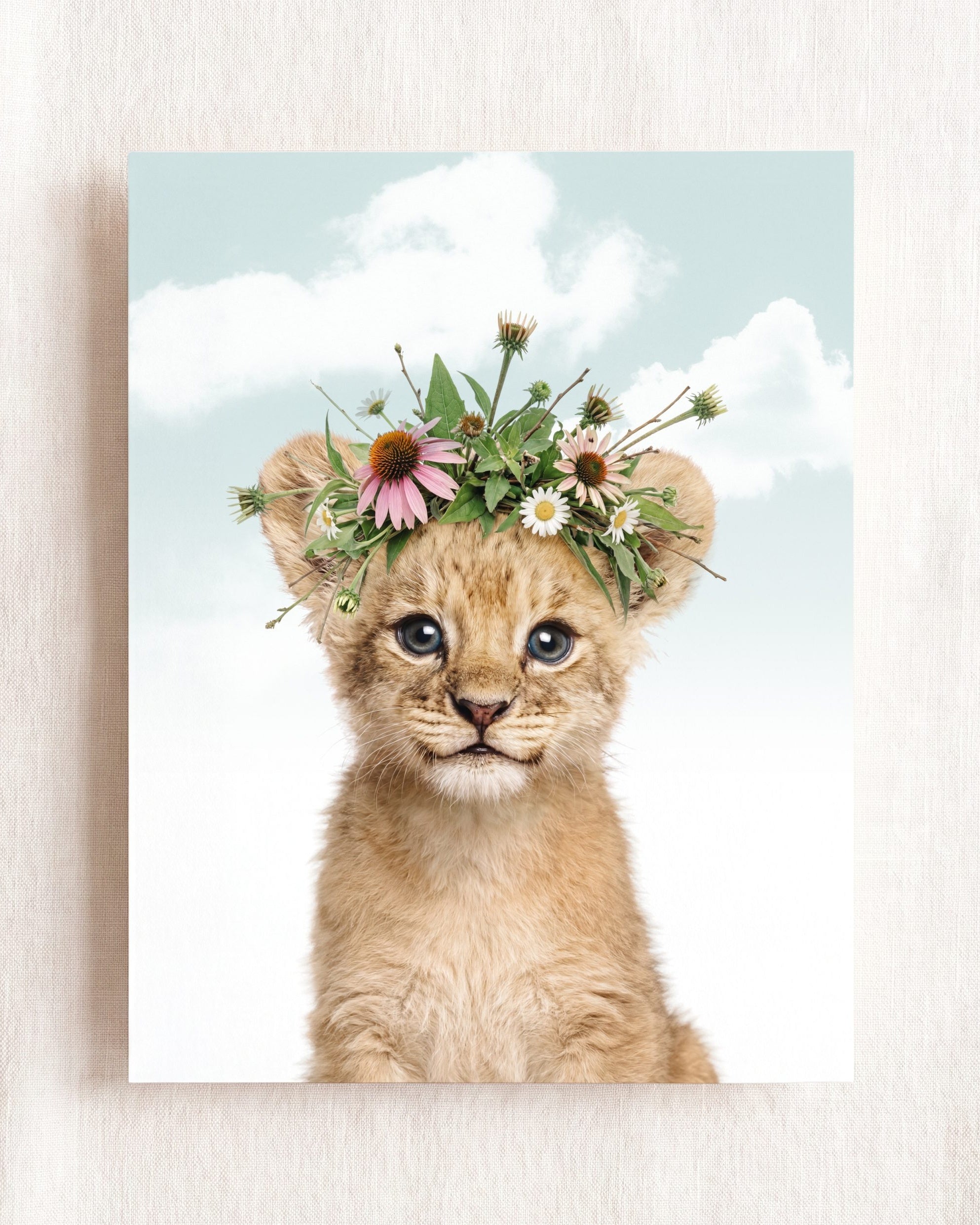 Baby Lion