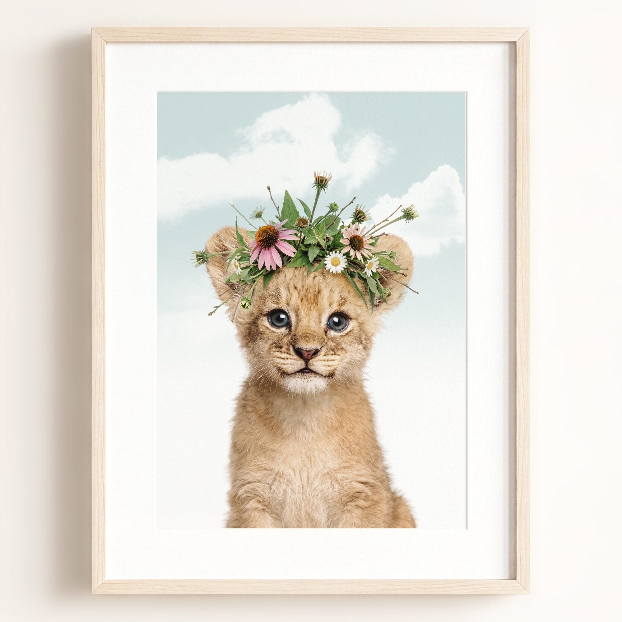 Baby Lion