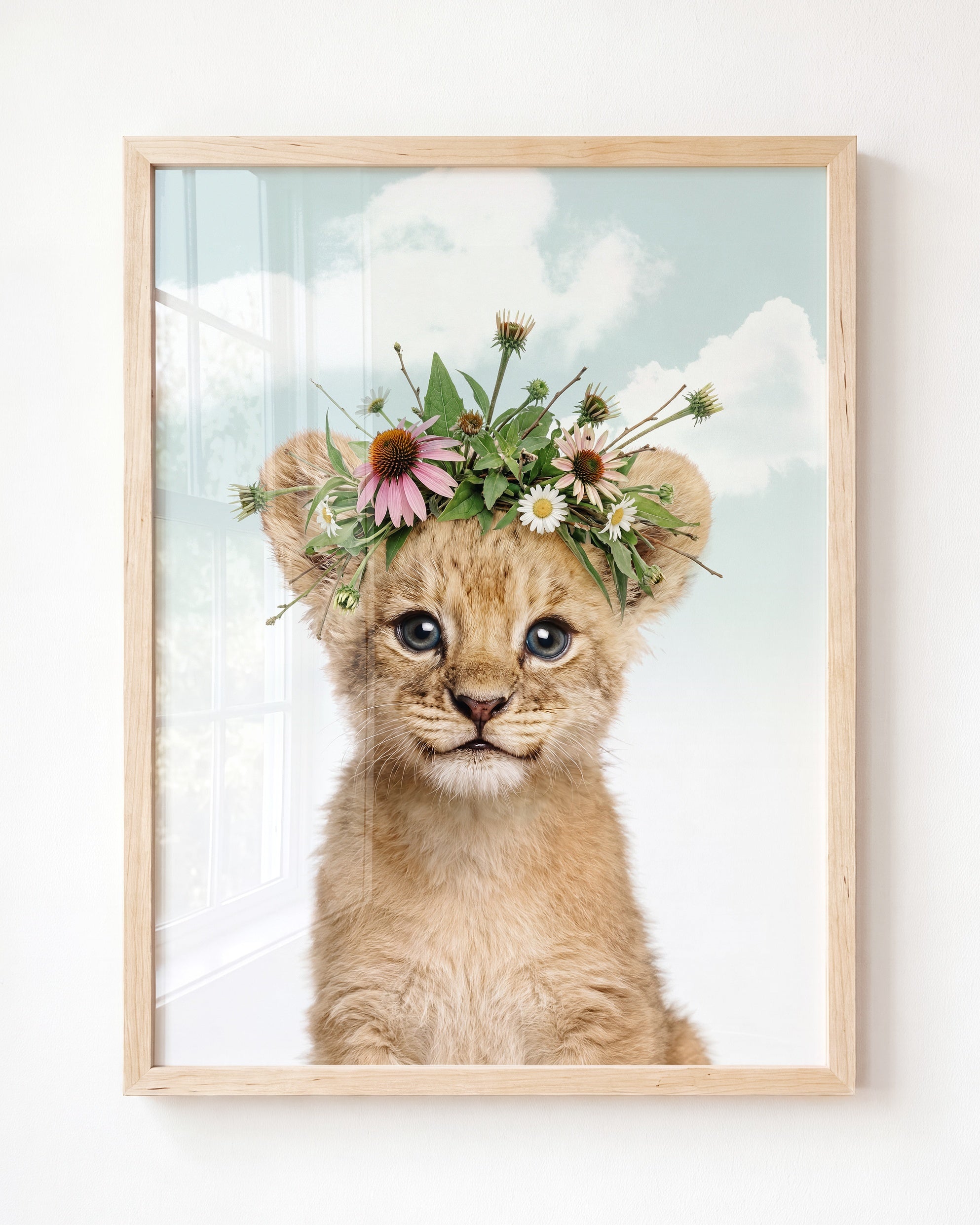 Baby Lion