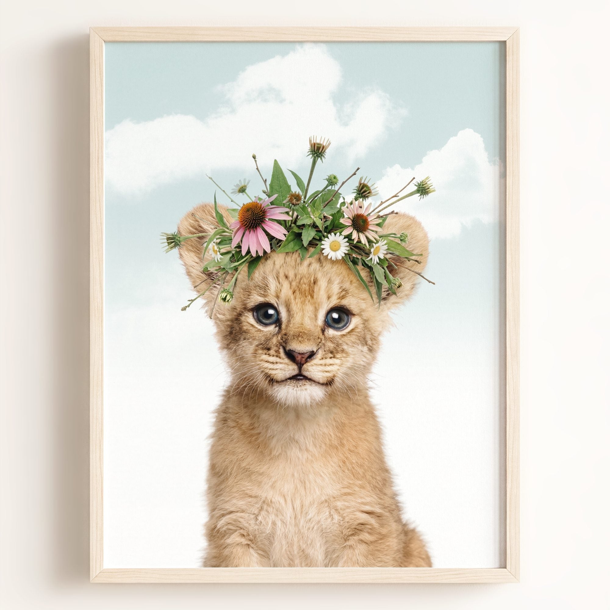 Baby Lion