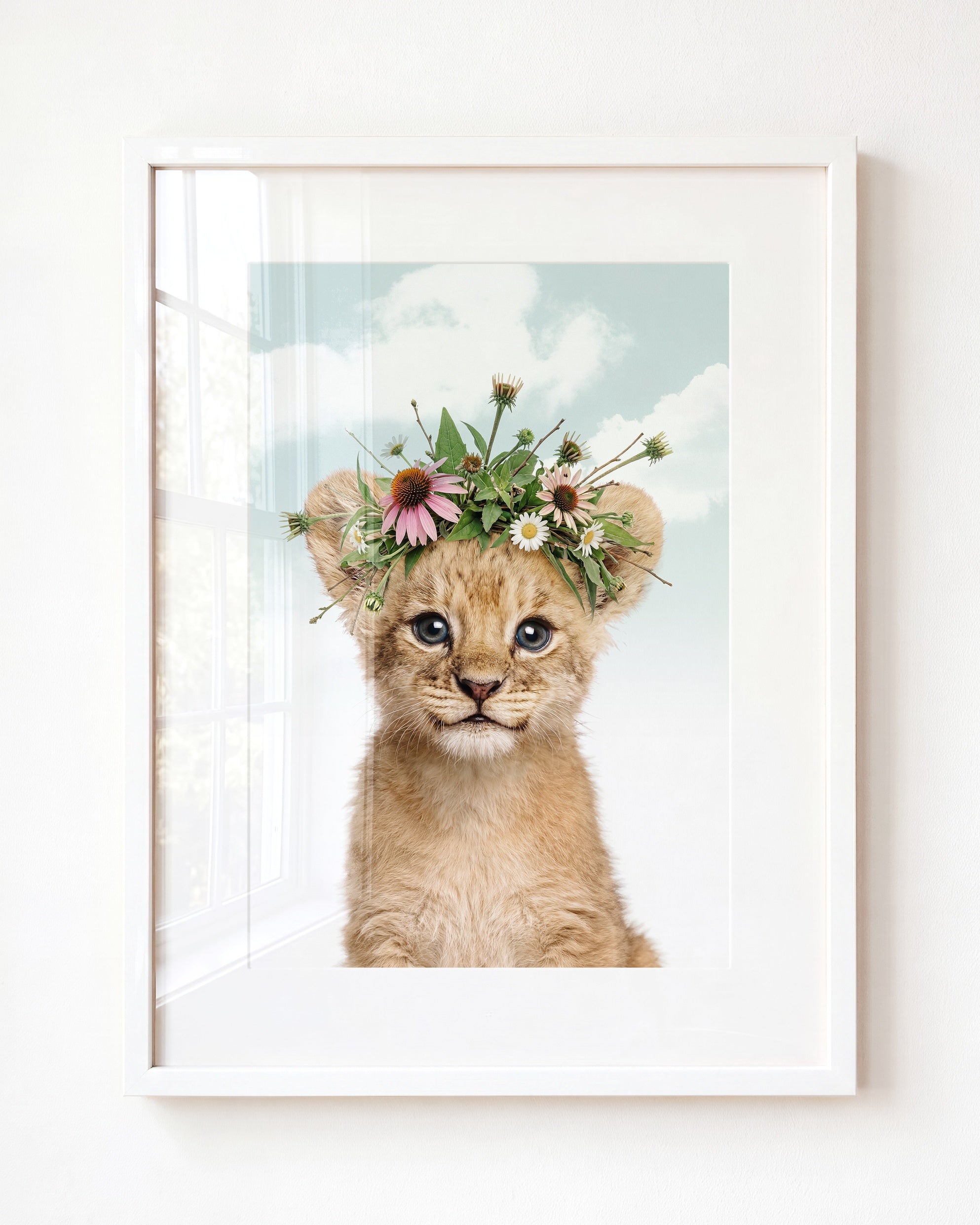 Baby Lion
