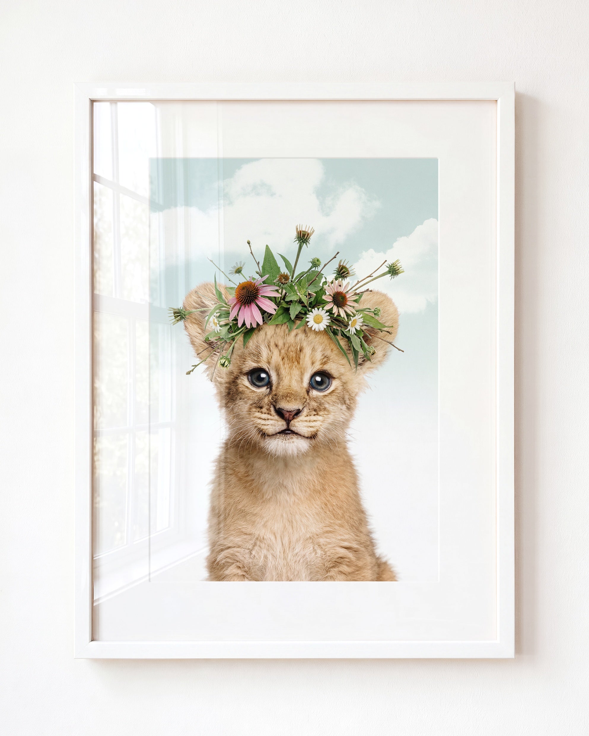 Baby Lion
