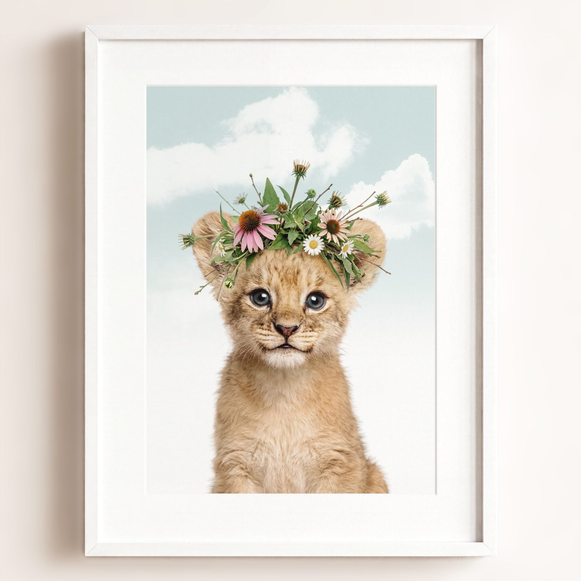 Baby Lion