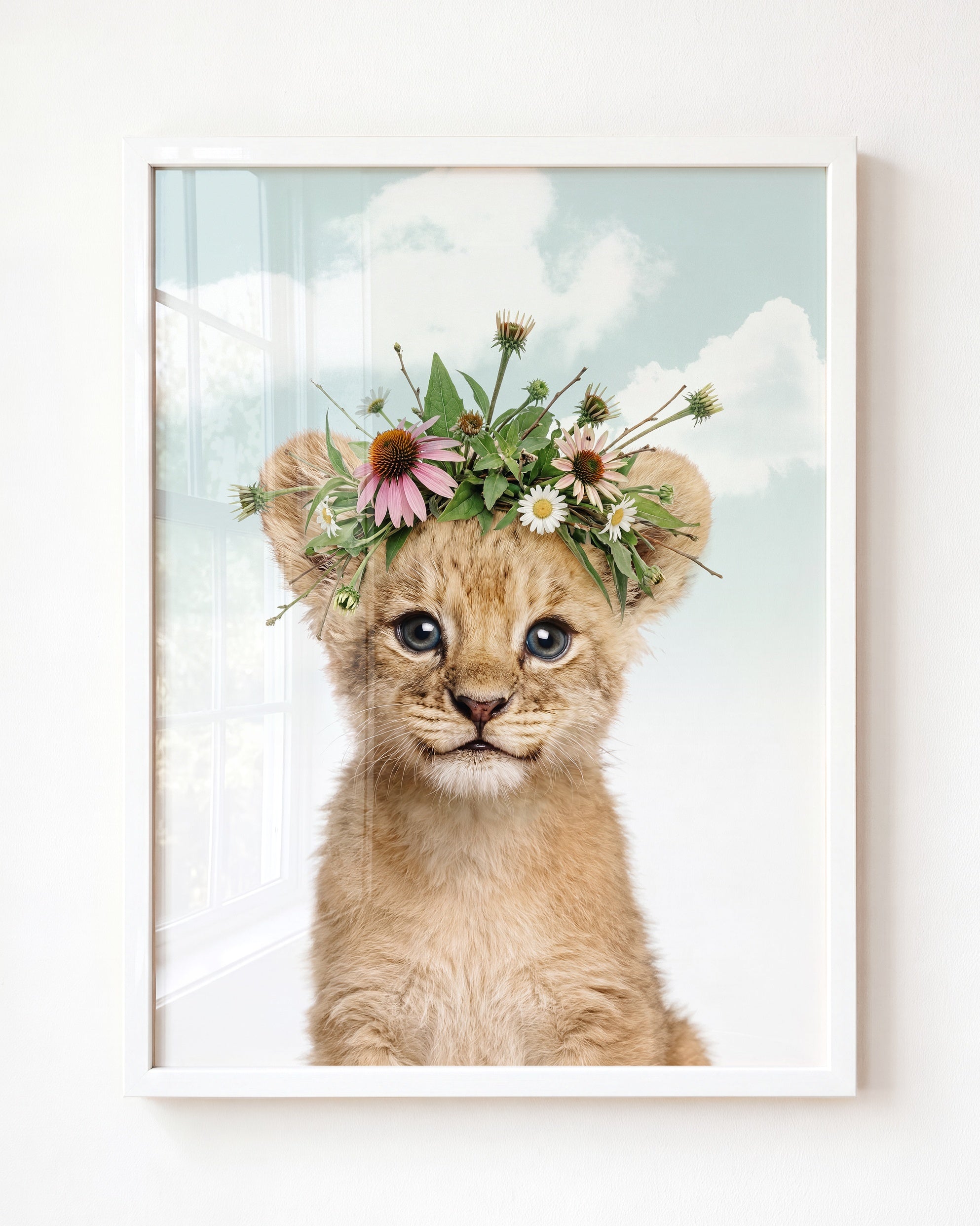 Baby Lion