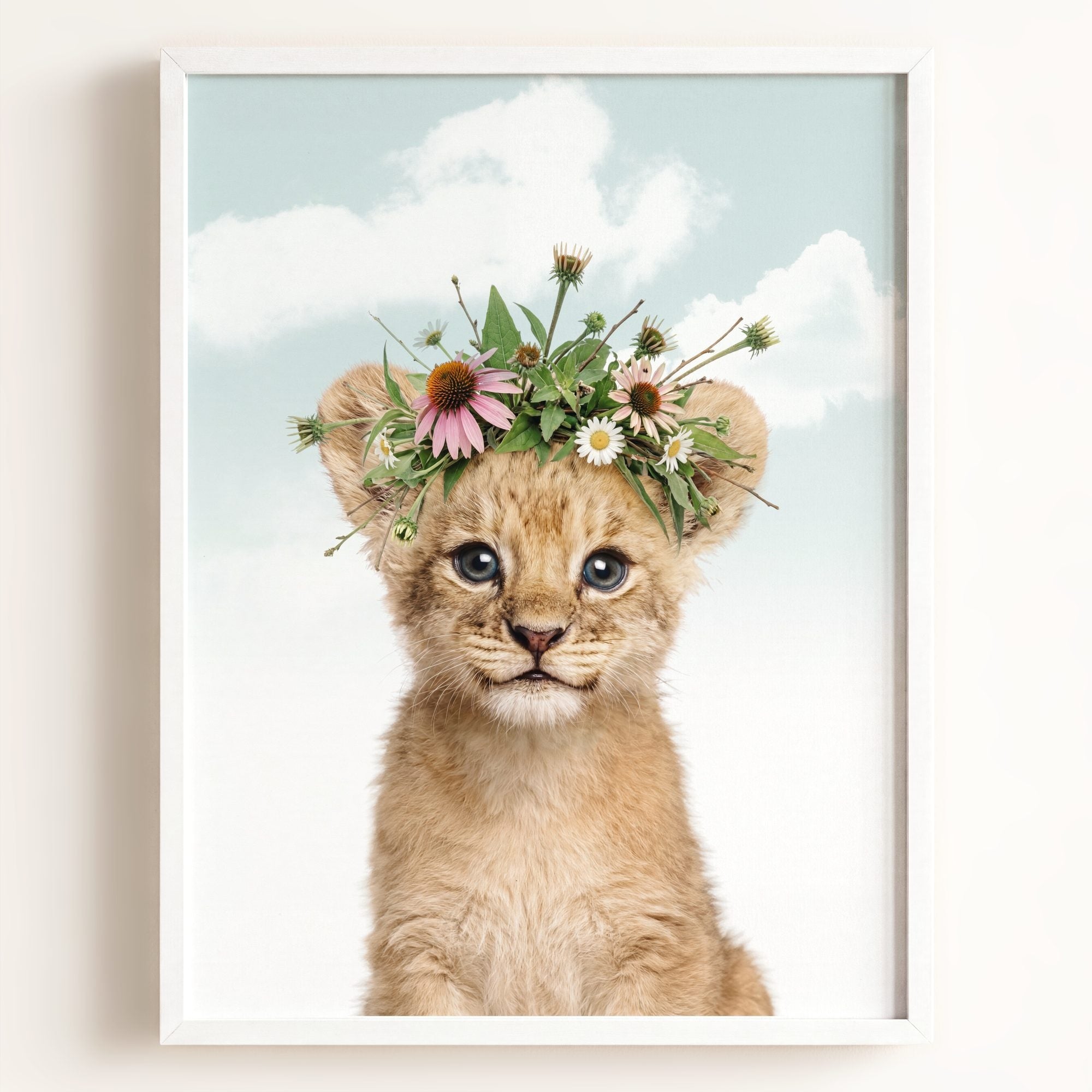 Baby Lion