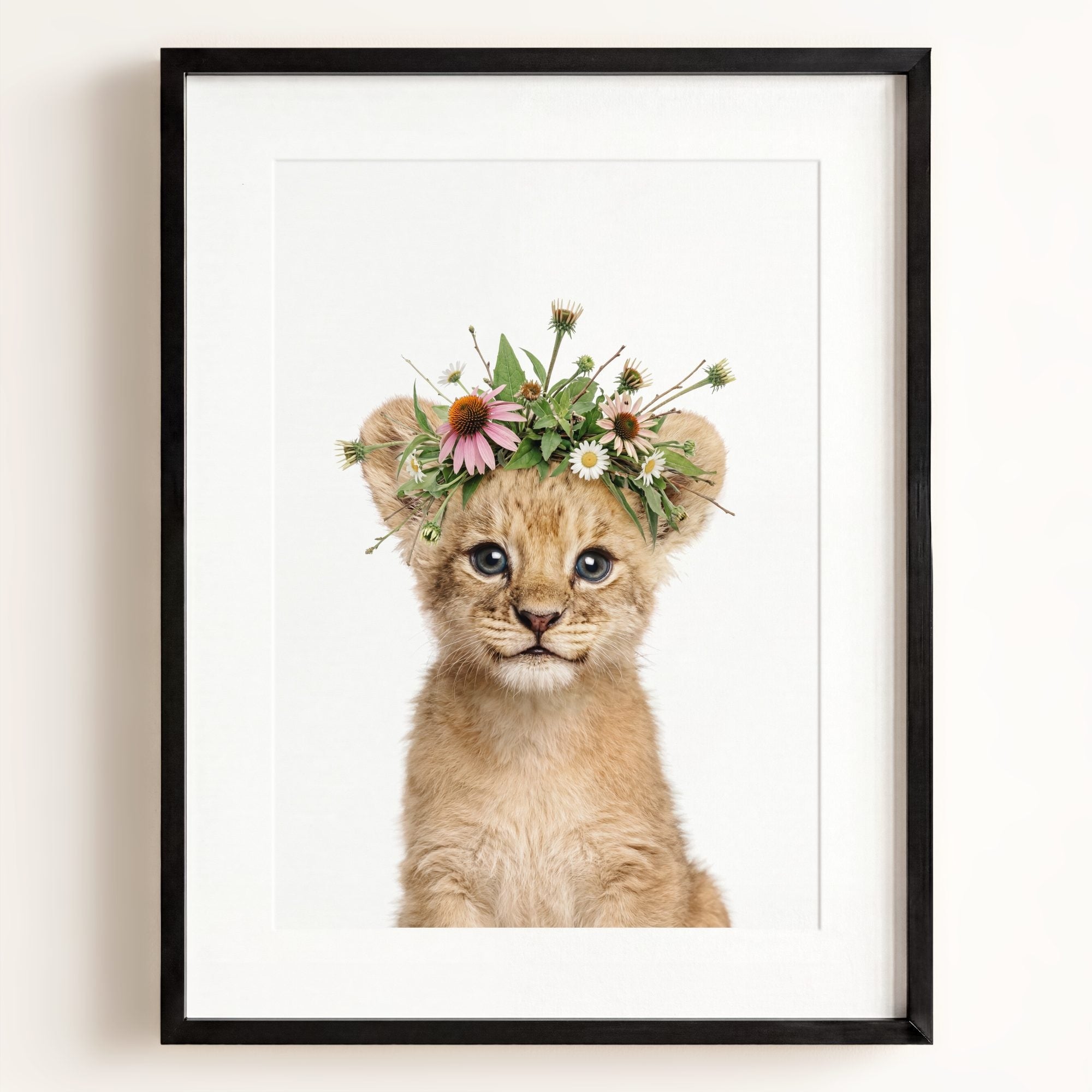 Baby Lion