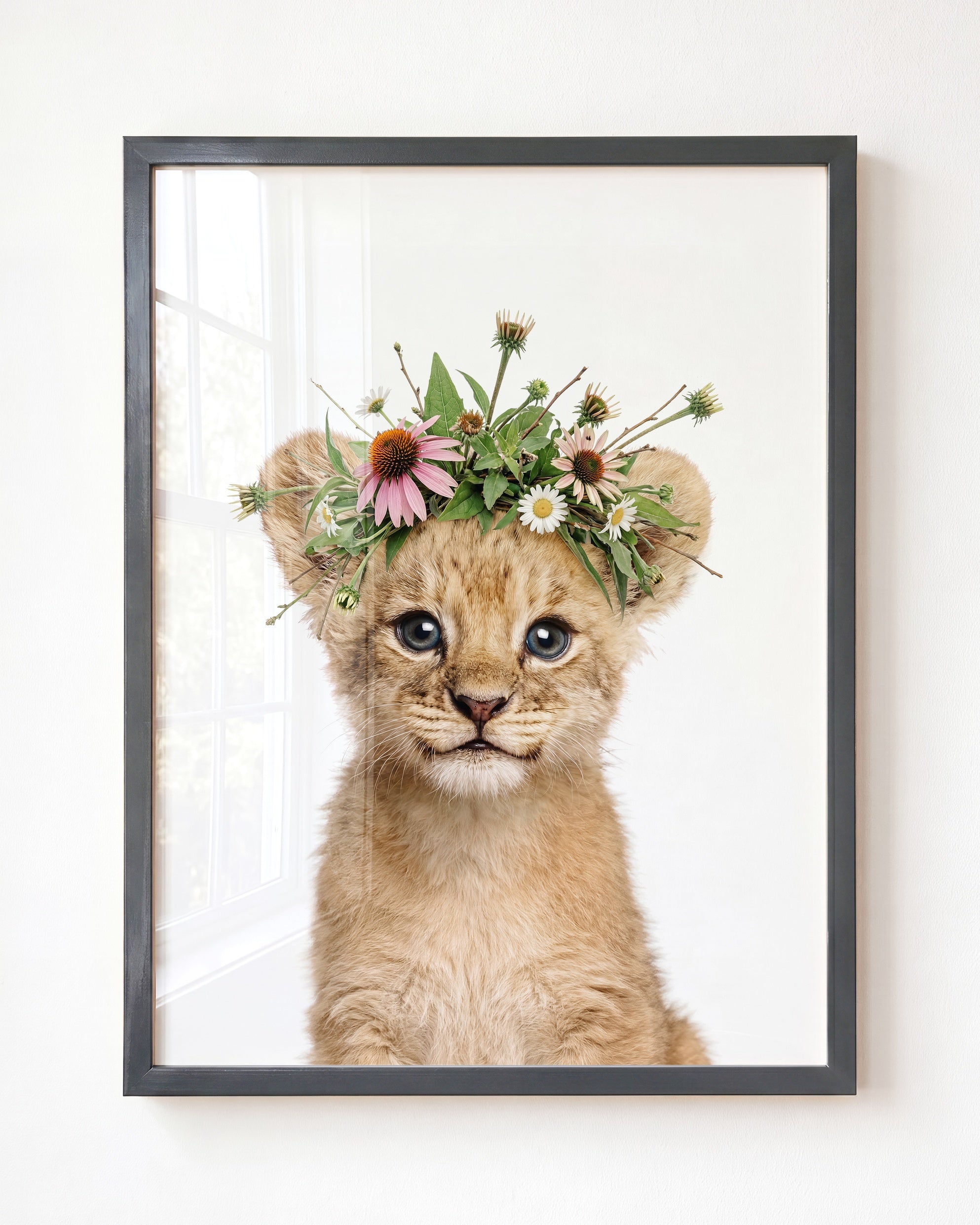 Baby Lion