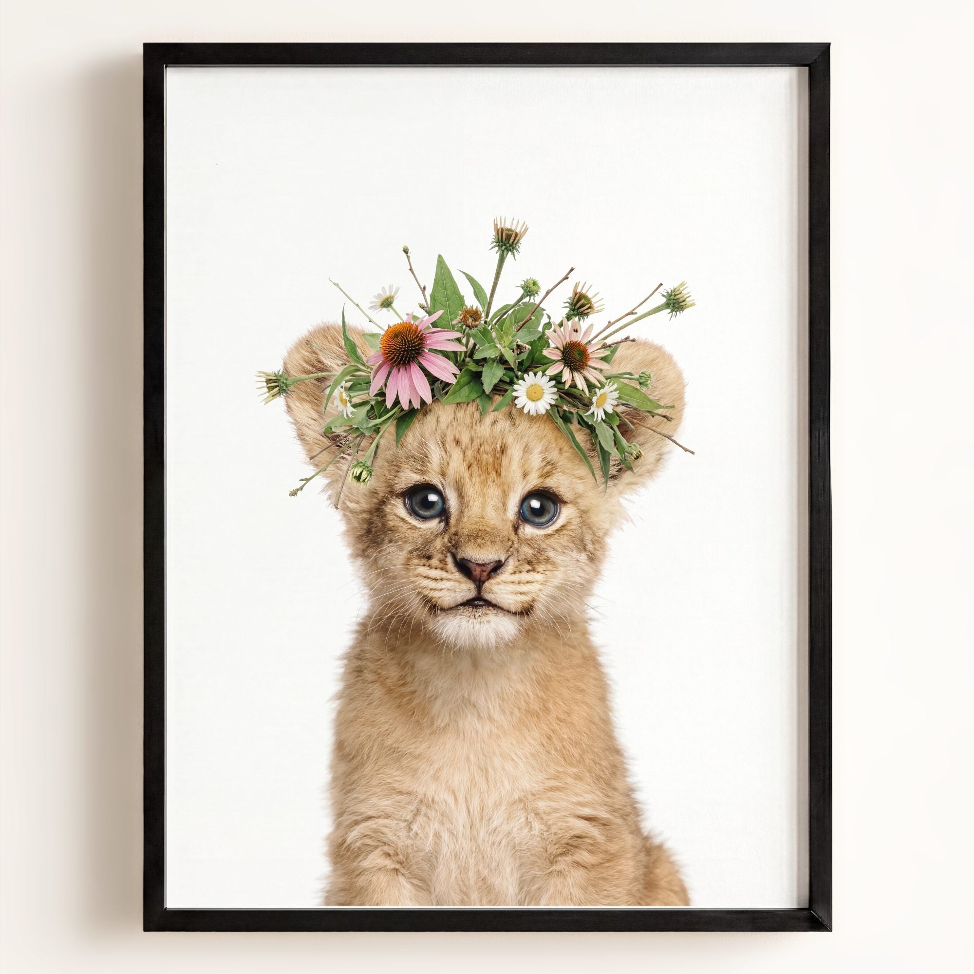 Baby Lion