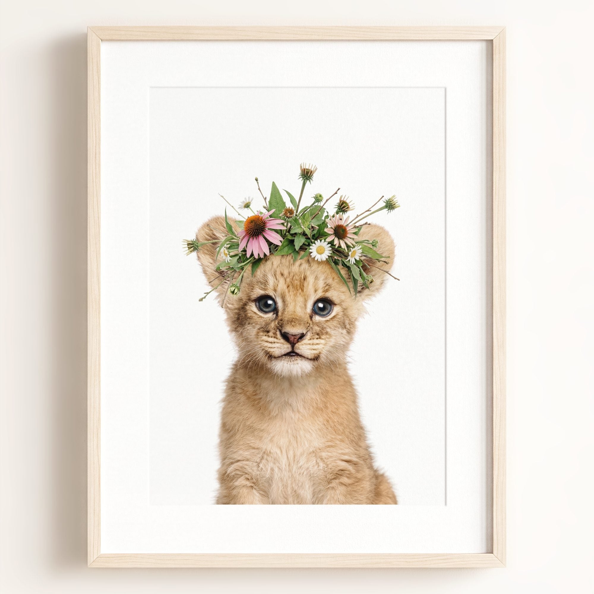 Baby Lion