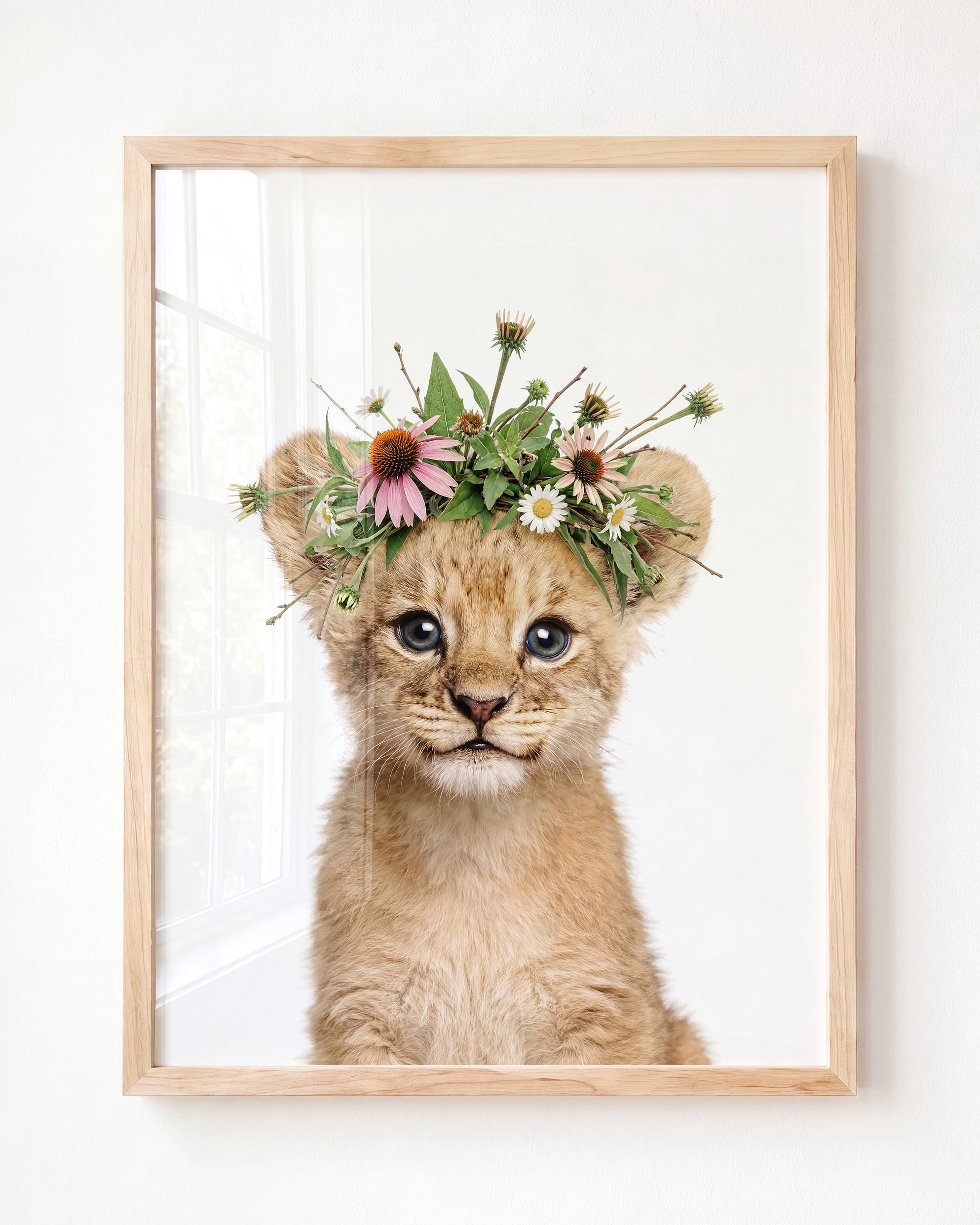 Baby Lion
