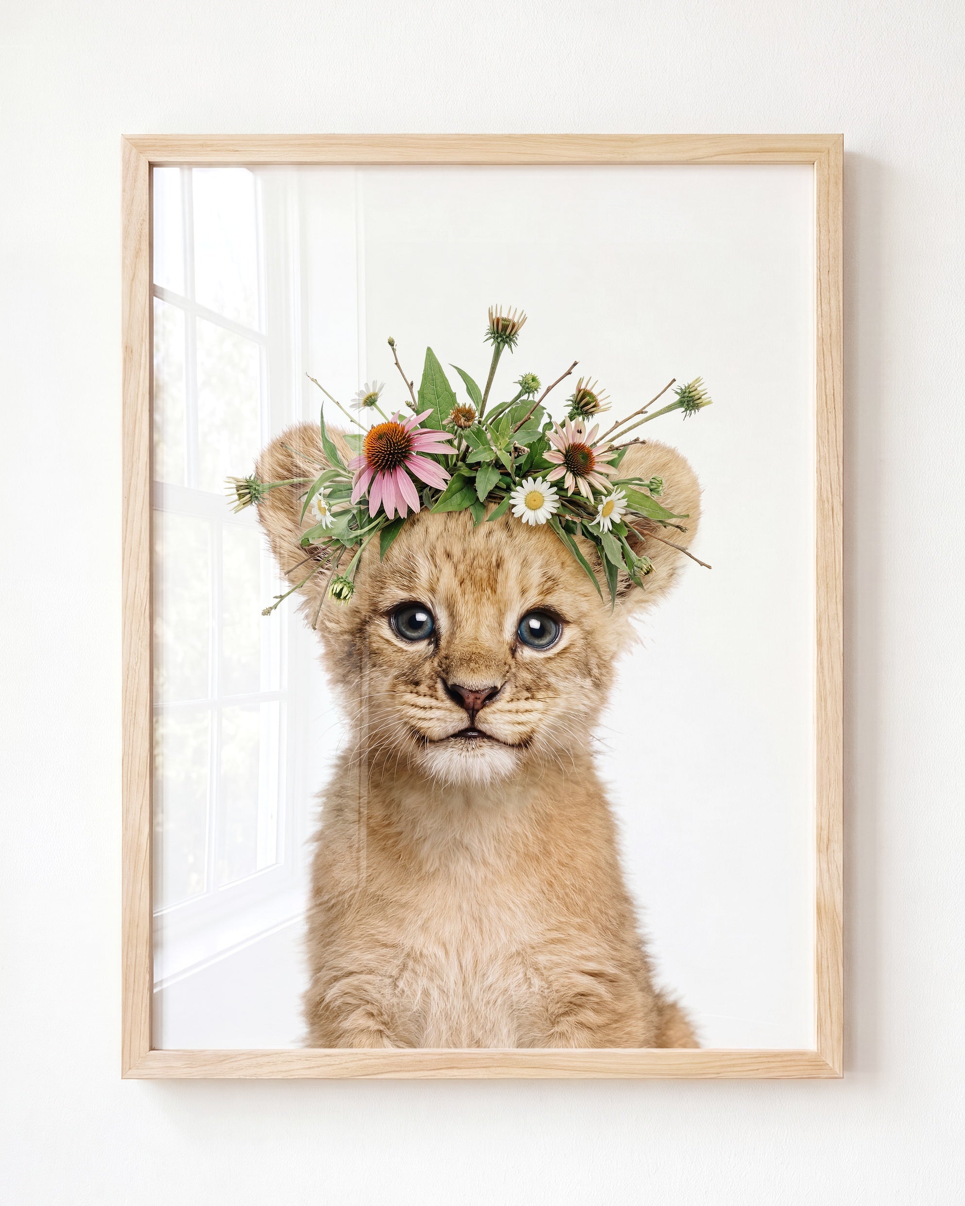 Baby Lion