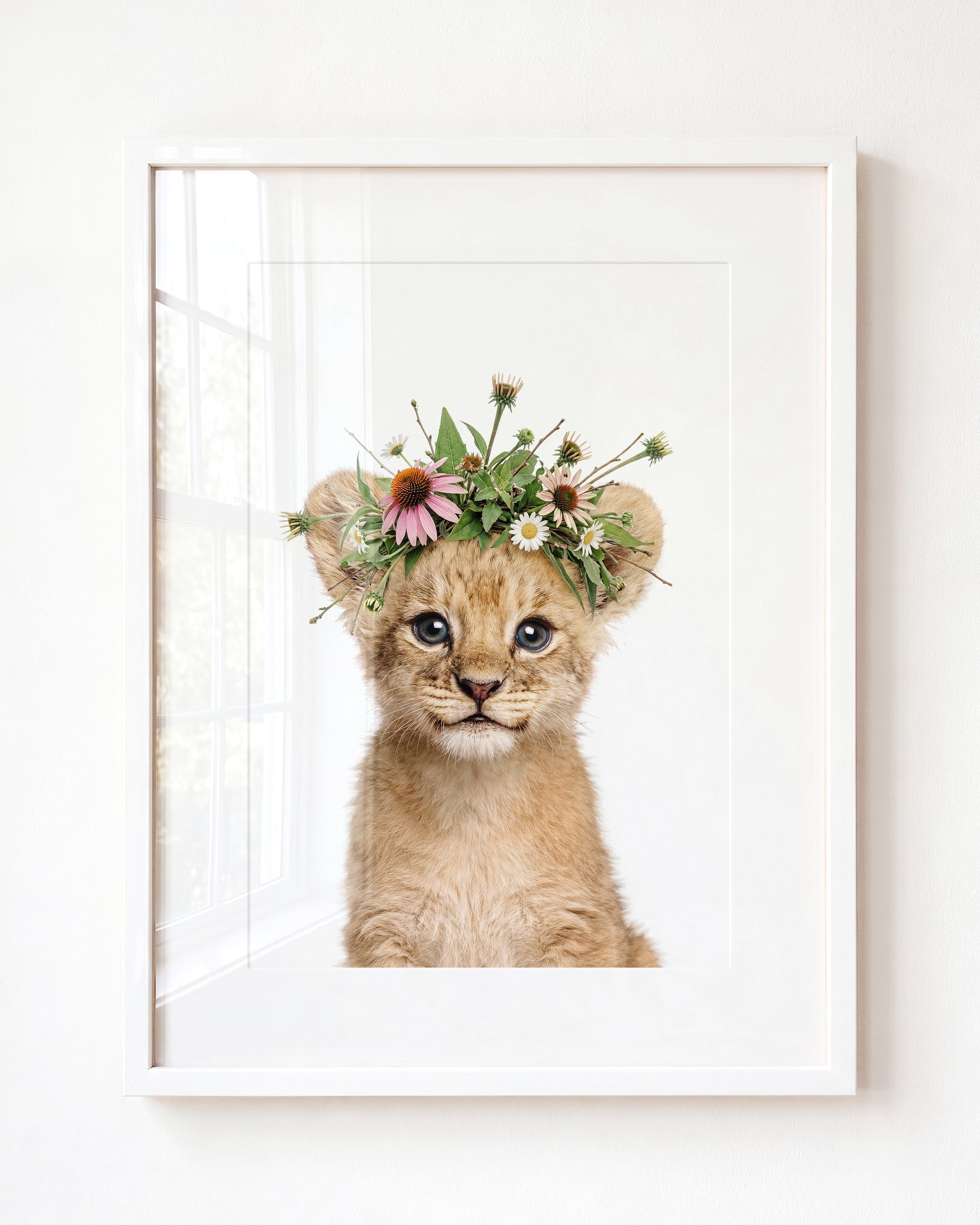 Baby Lion