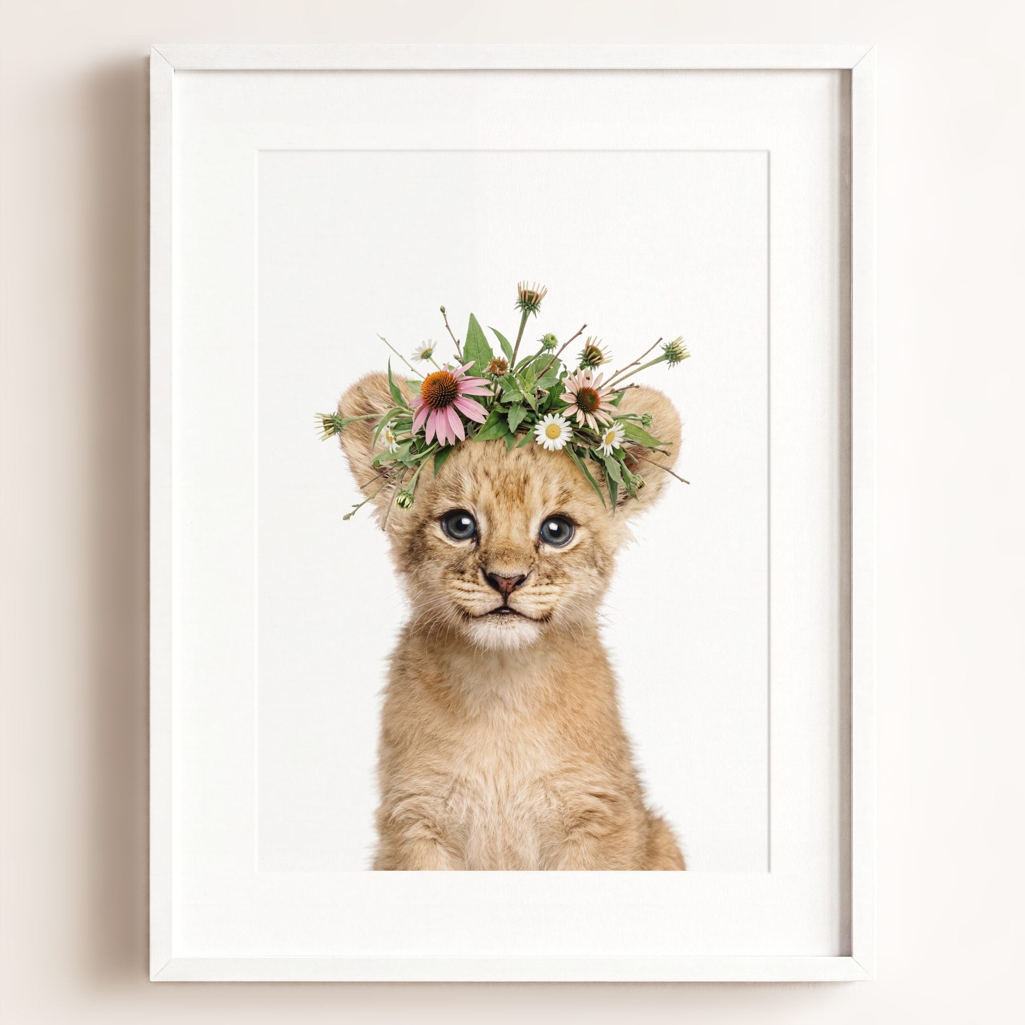Baby Lion
