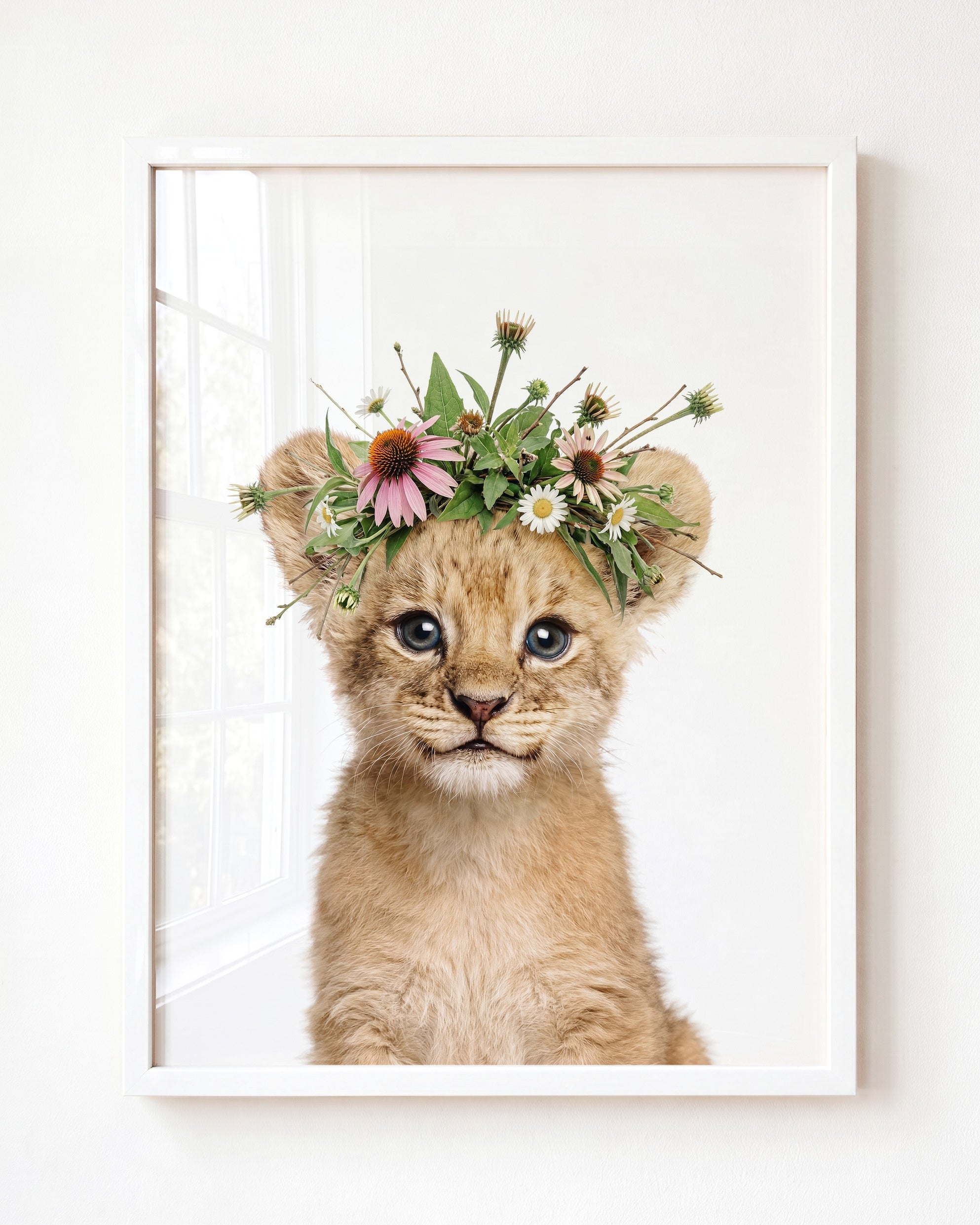 Baby Lion