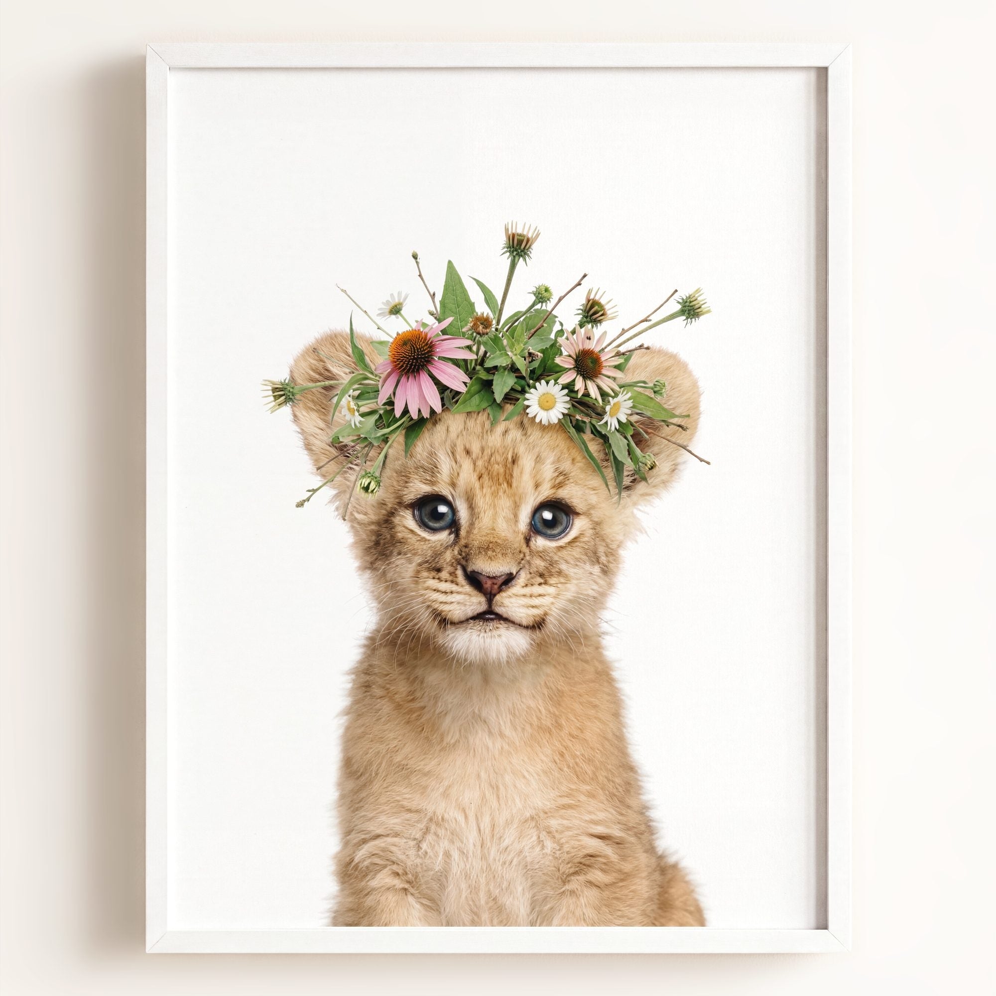 Baby Lion