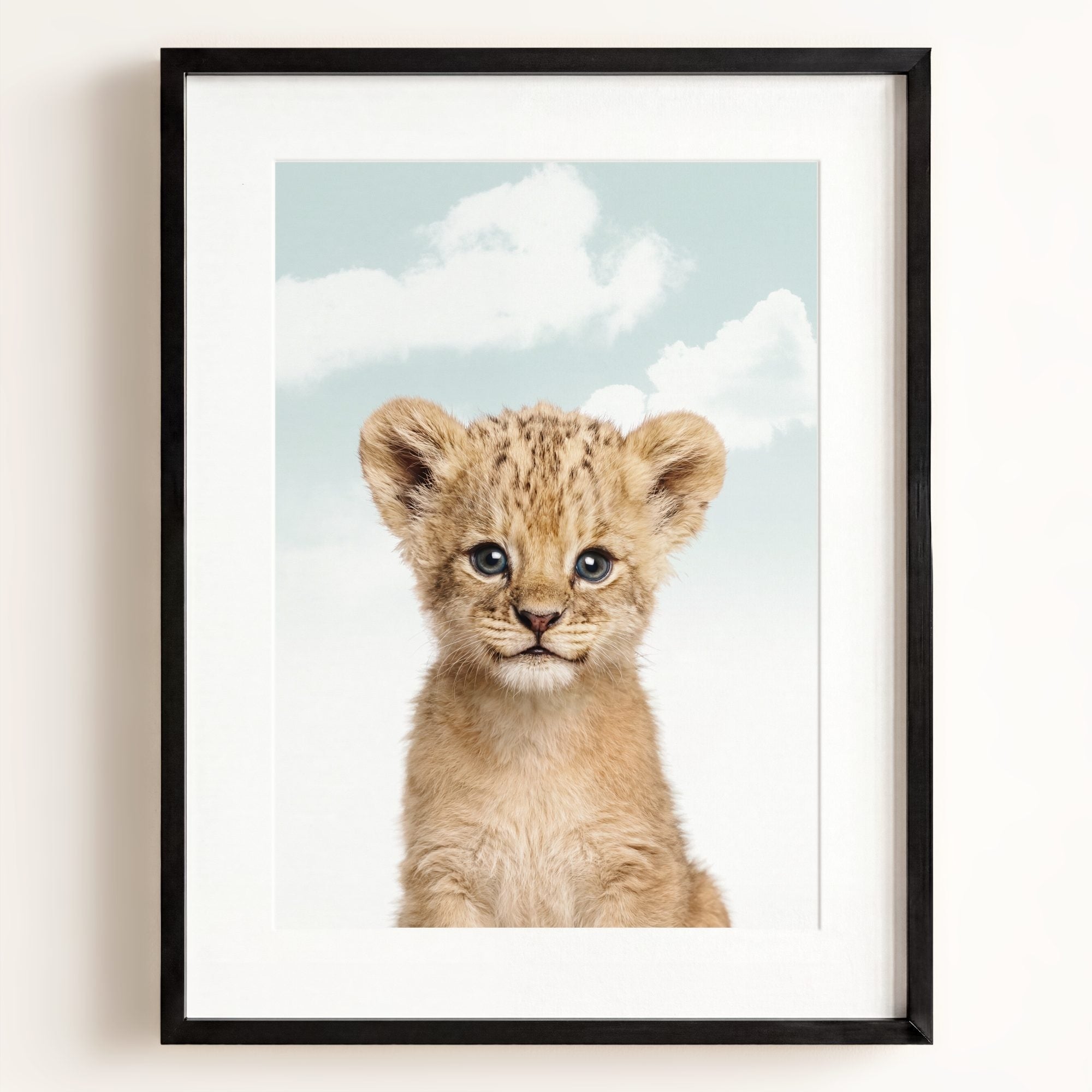 Baby Lion