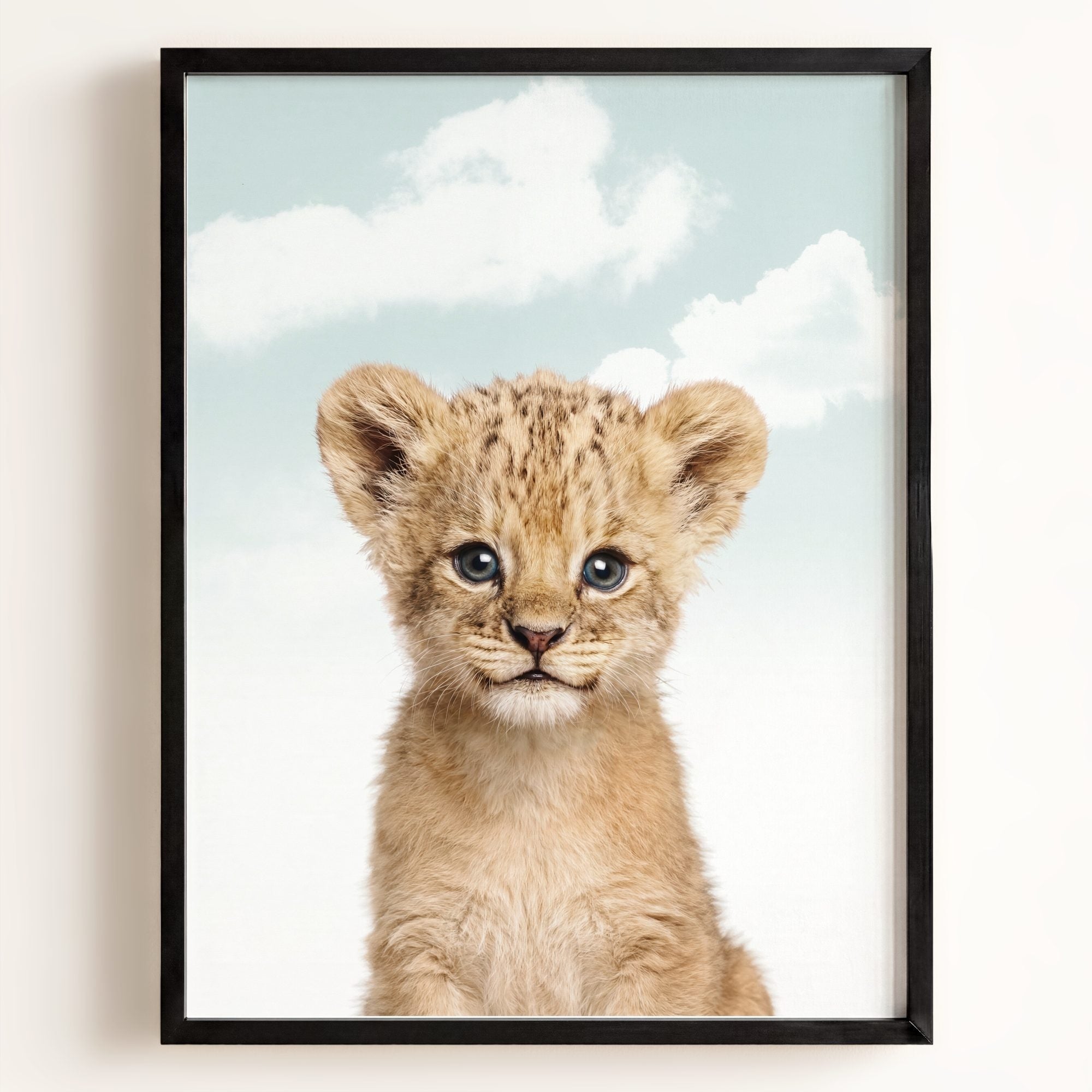 Baby Lion