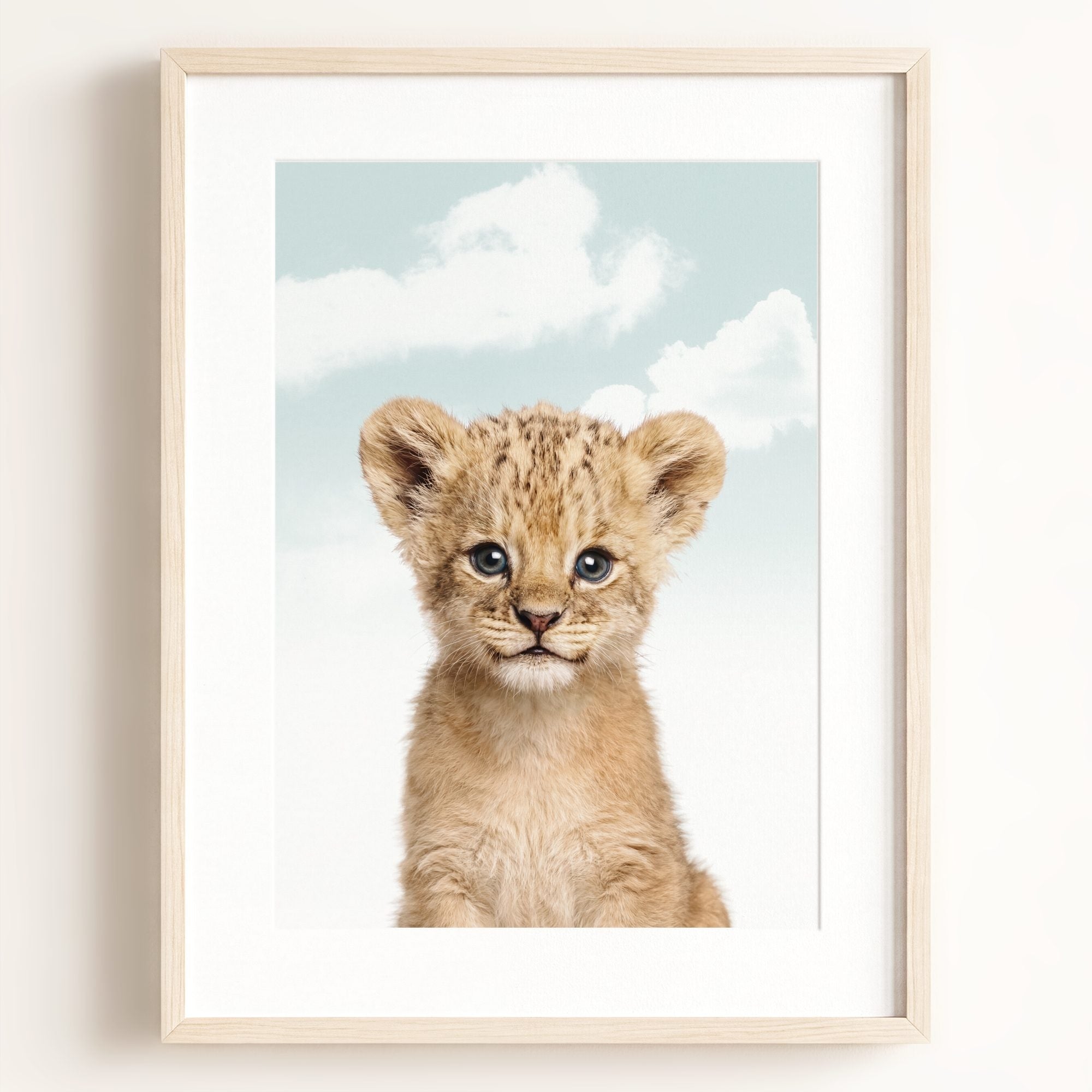 Baby Lion