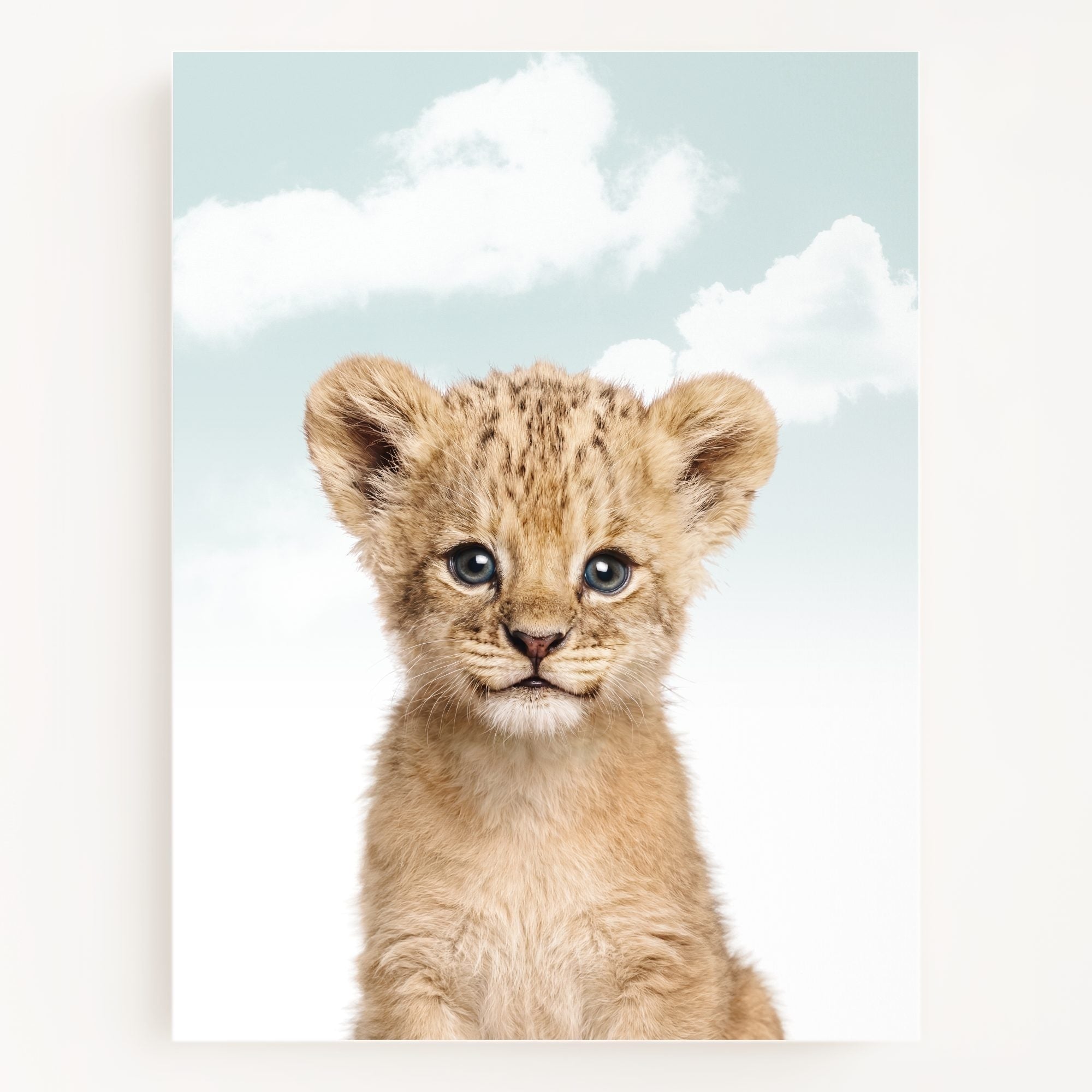 Baby Lion