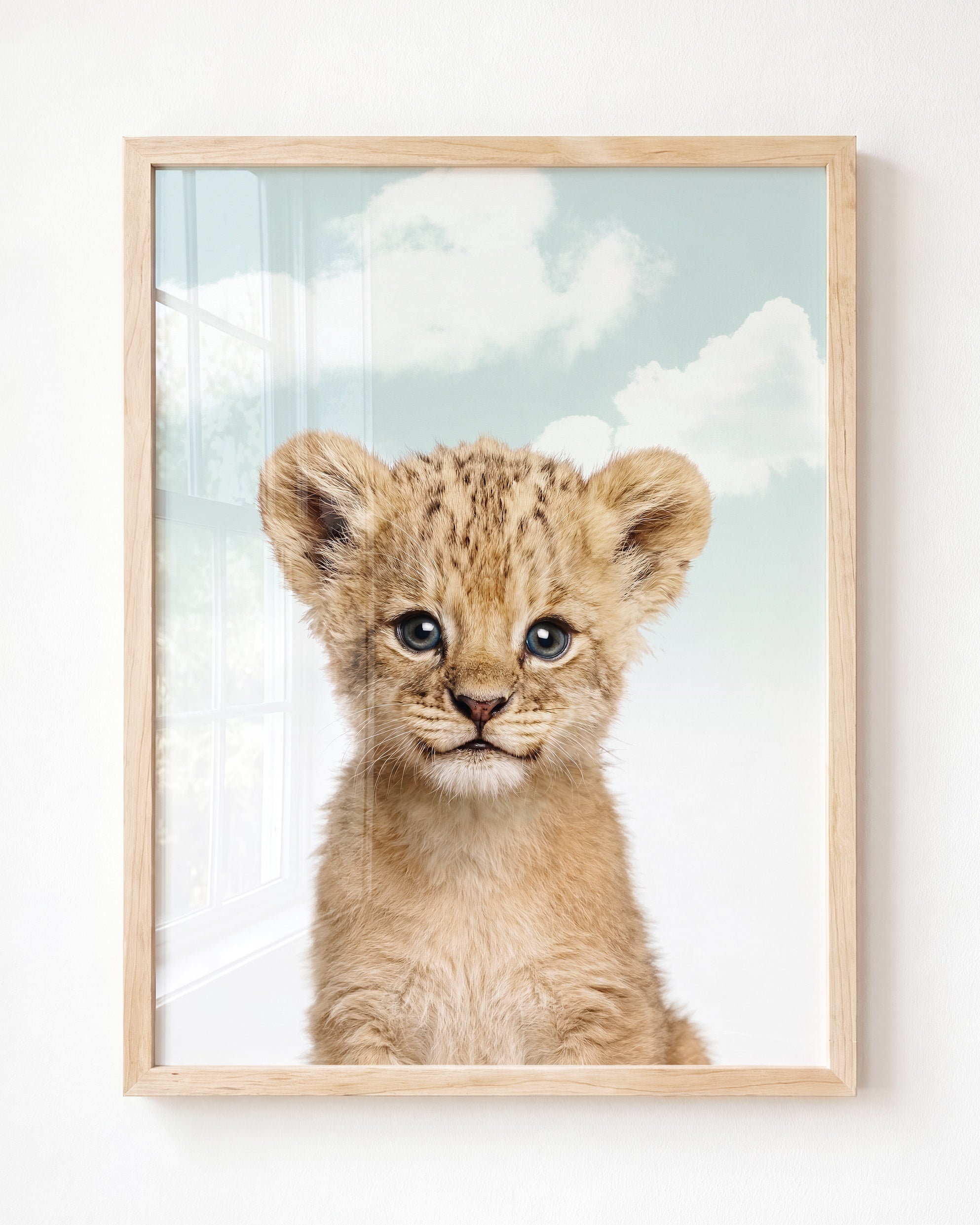 Baby Lion