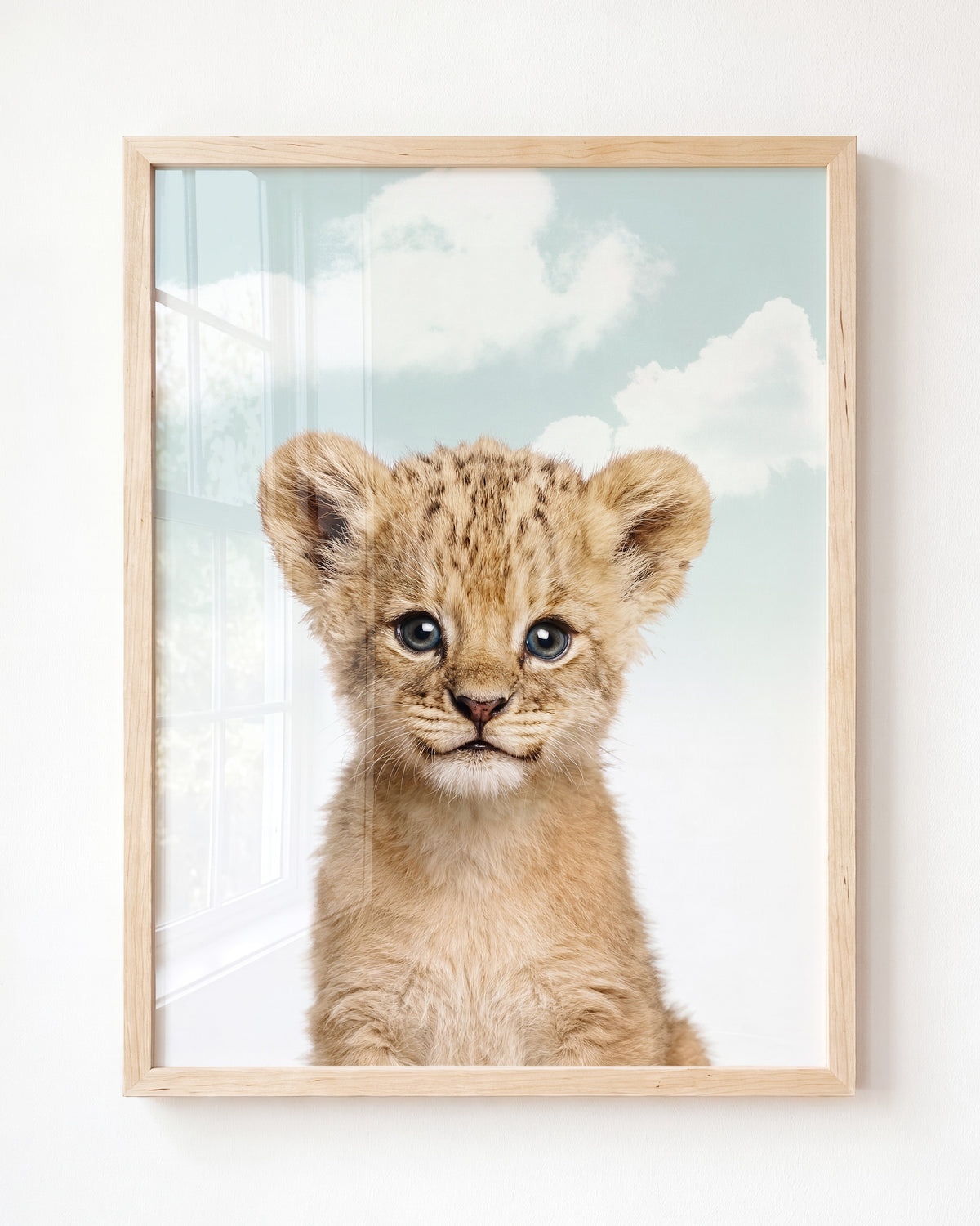 Baby Lion