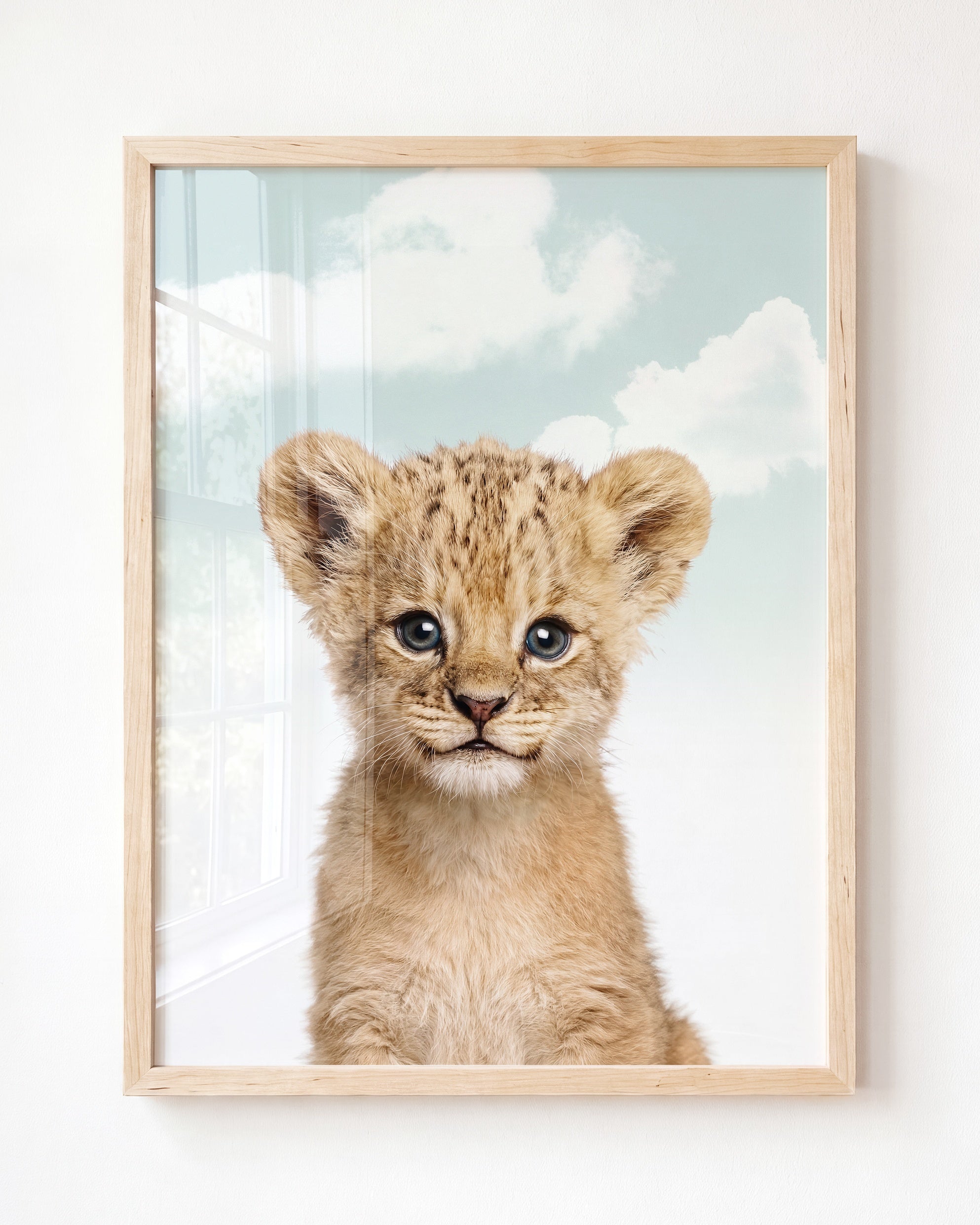 Baby Lion