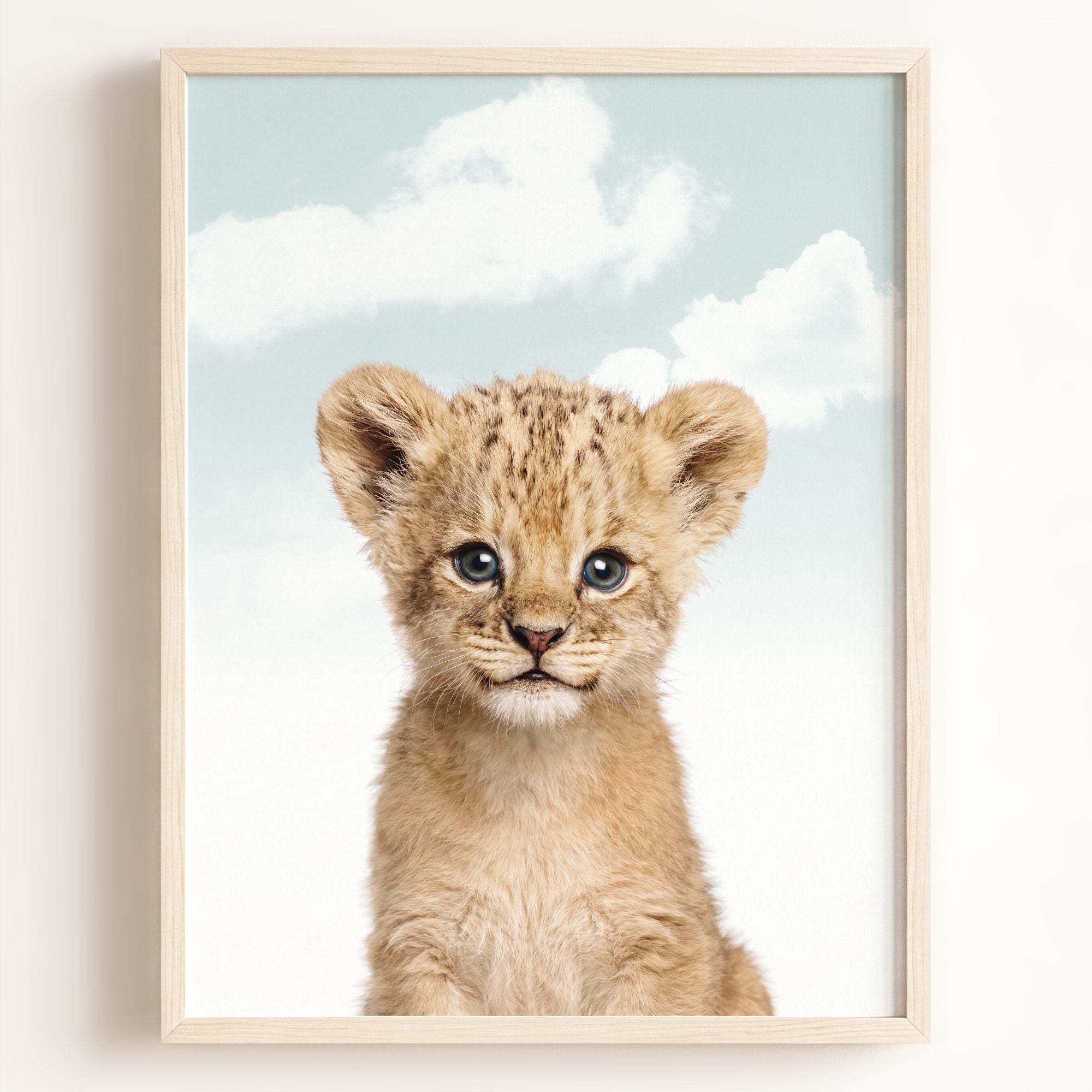 Baby Lion