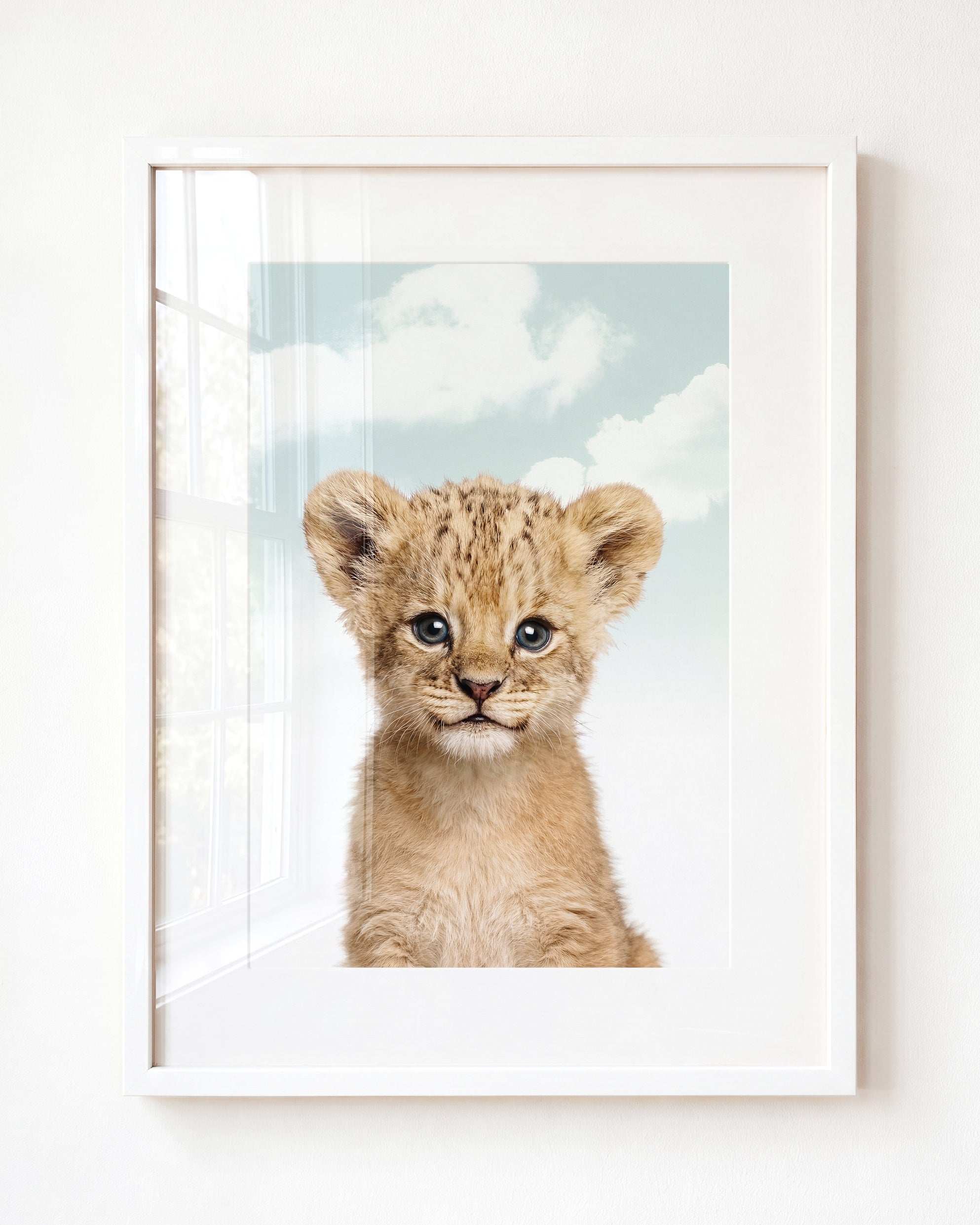 Baby Lion