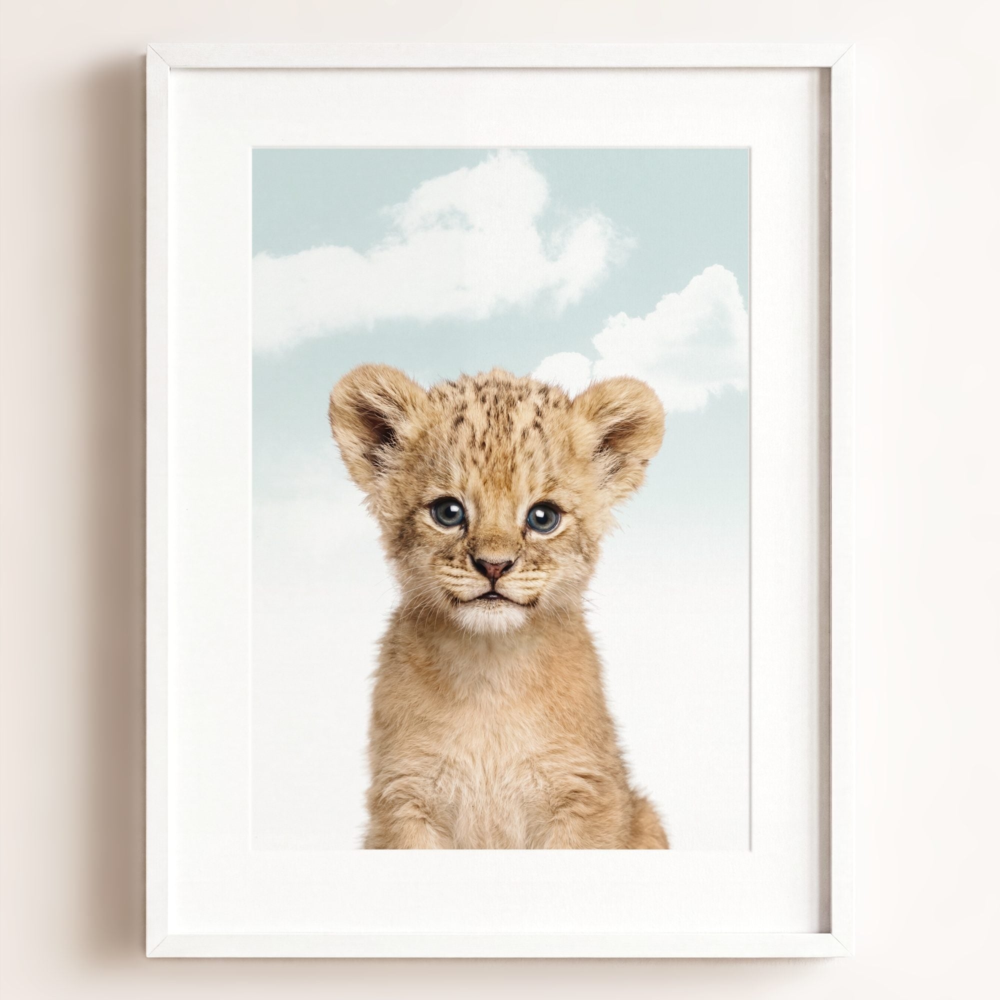 Baby Lion