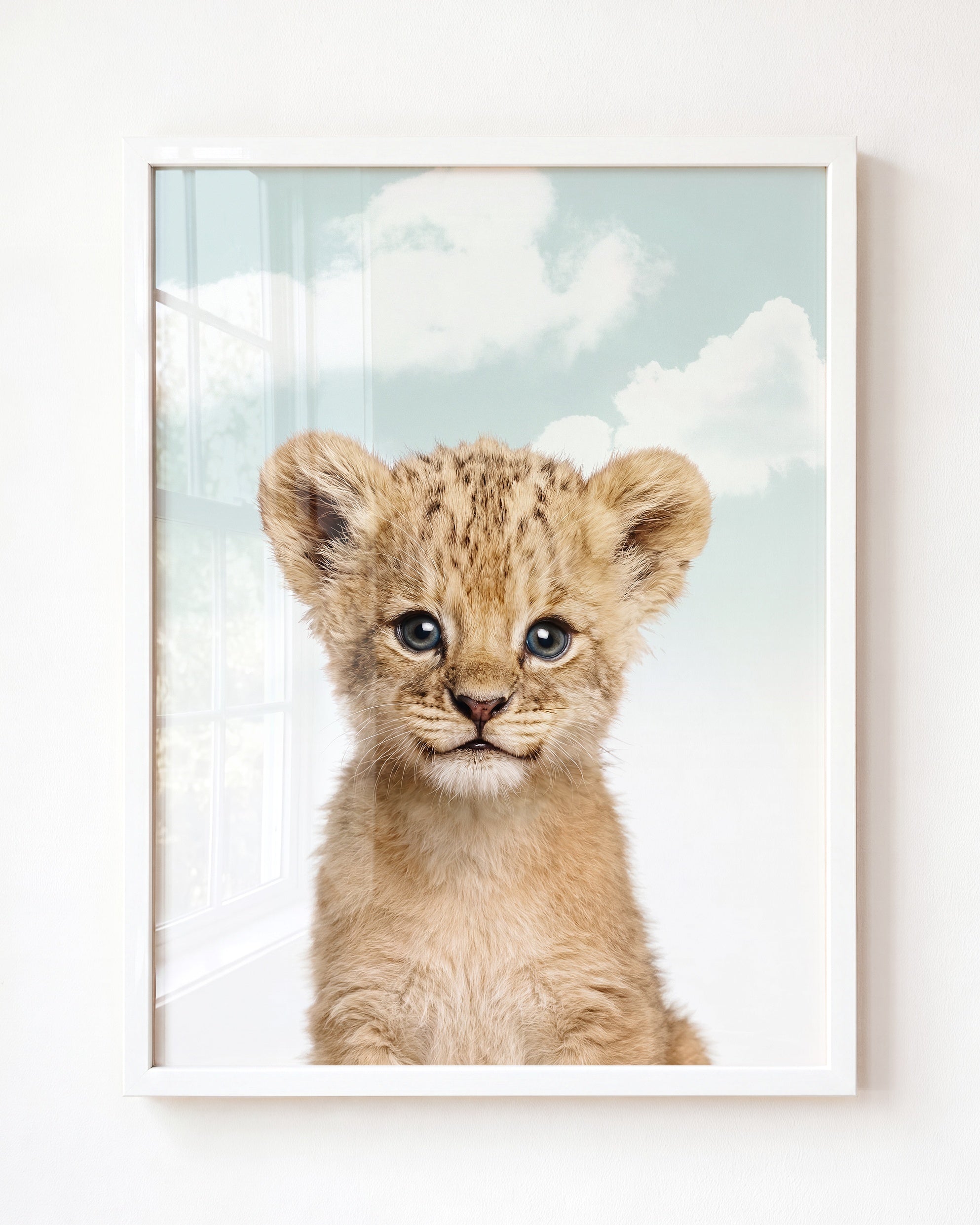 Baby Lion