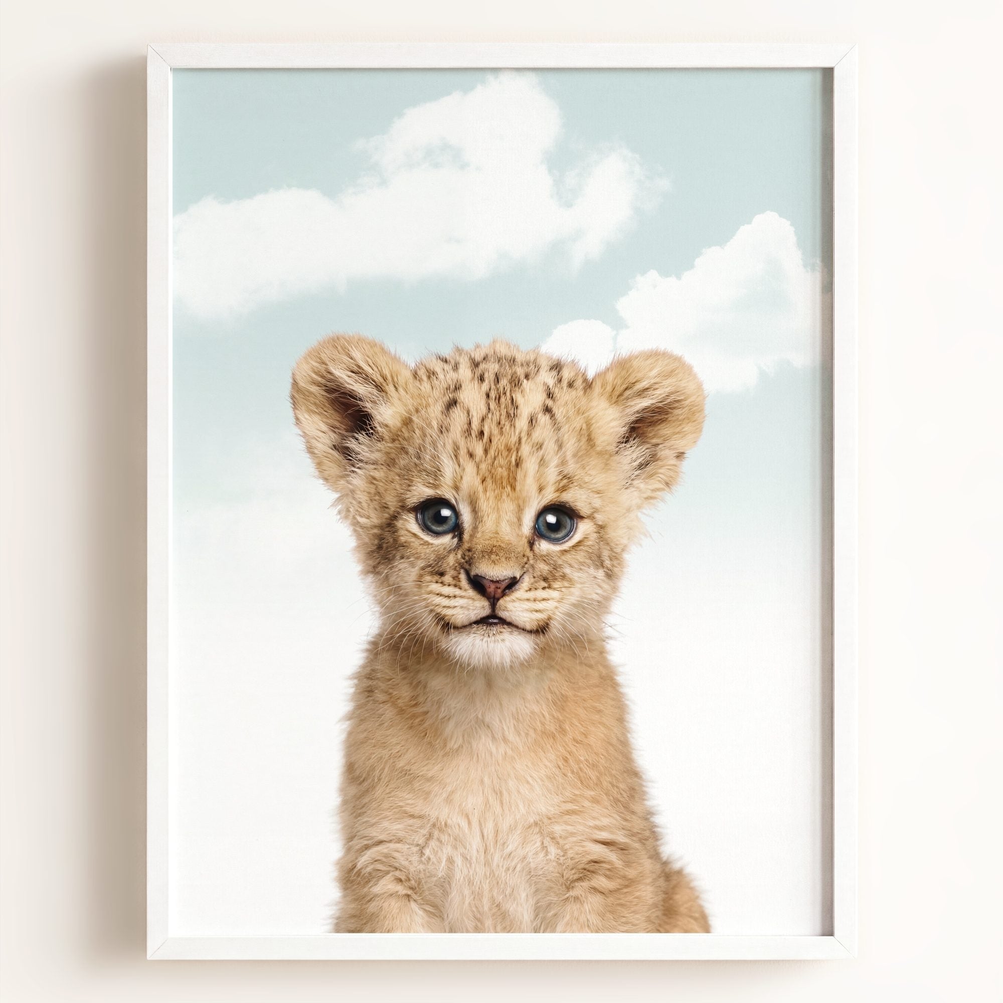 Baby Lion