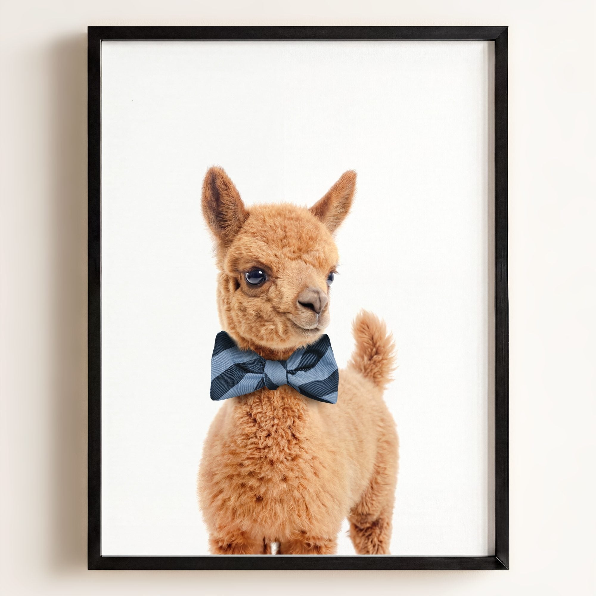 Baby Llama