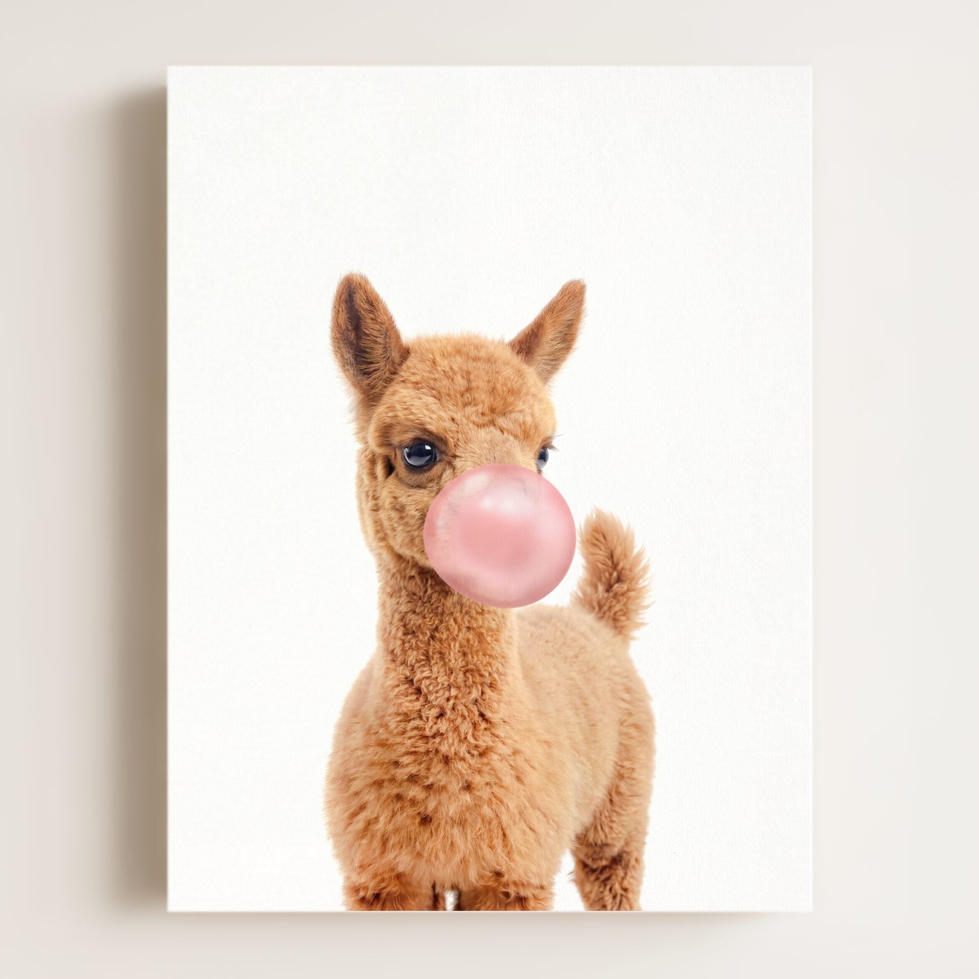 Baby Llama