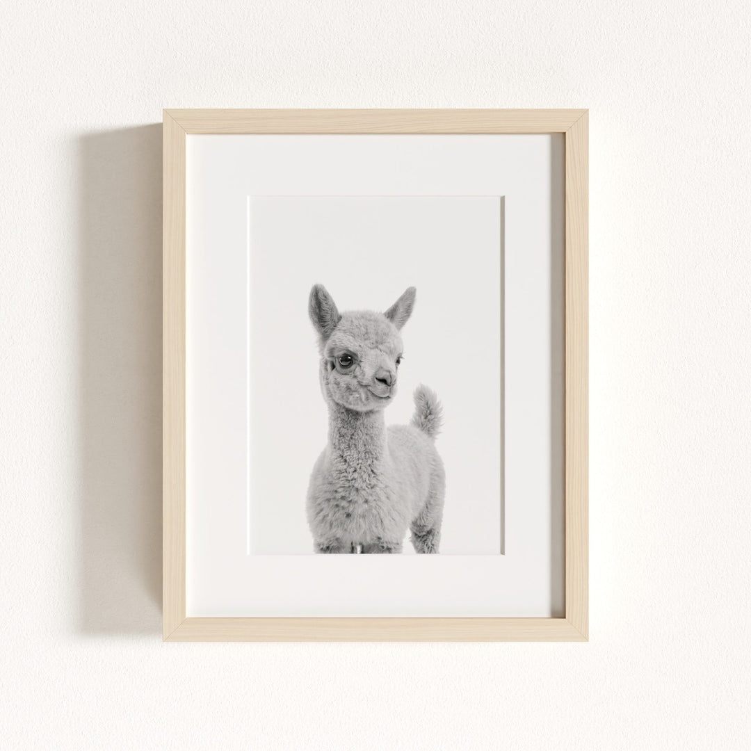 Baby Llama